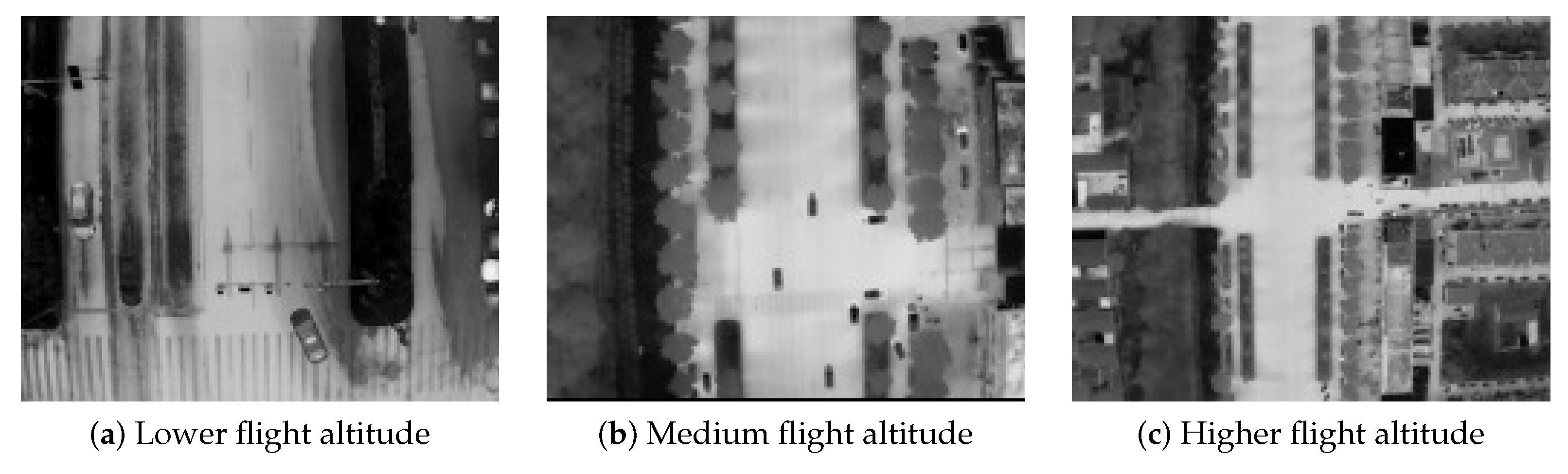 Biomimetics 10 00451 g002