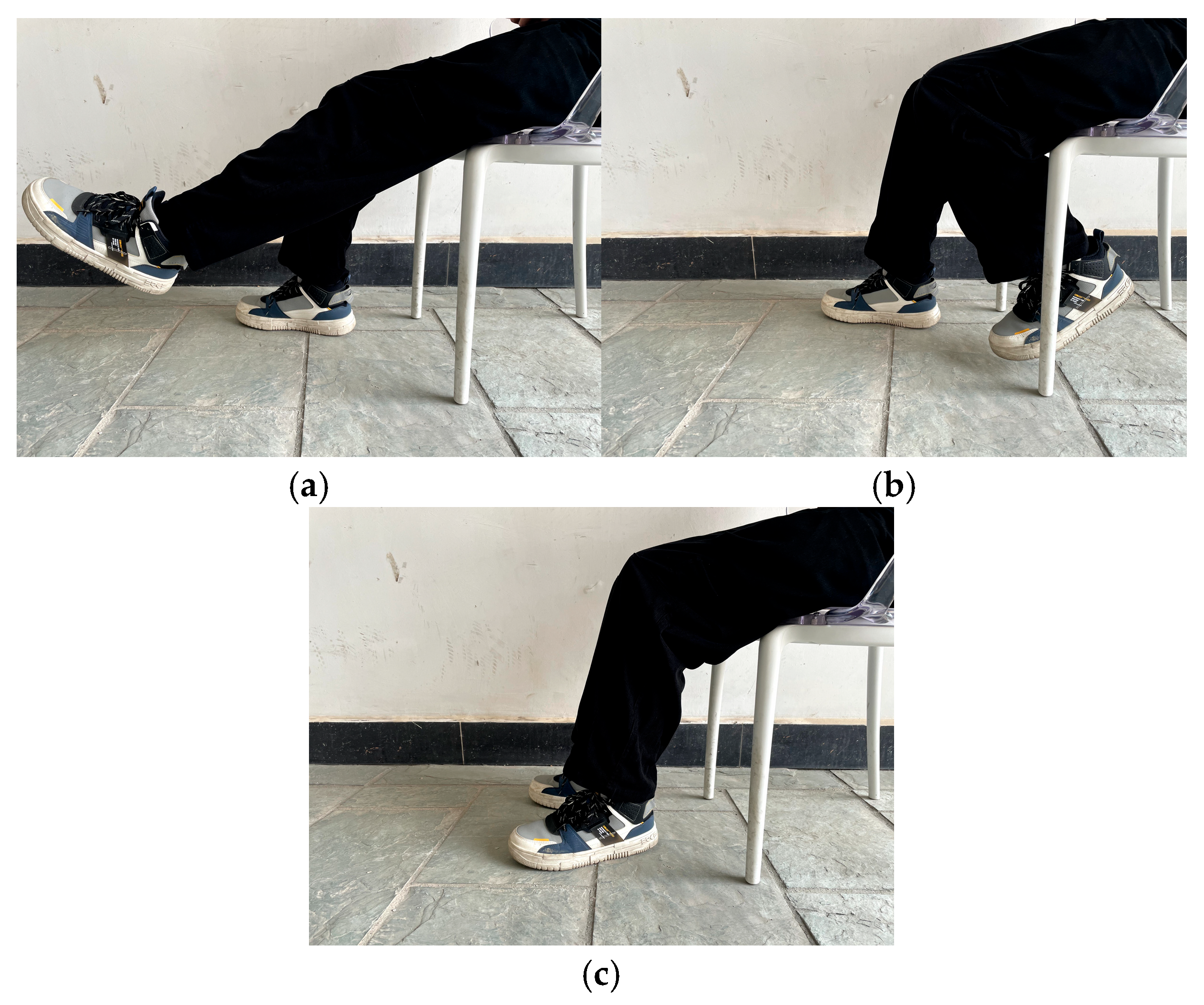 Biomimetics 10 00452 g003