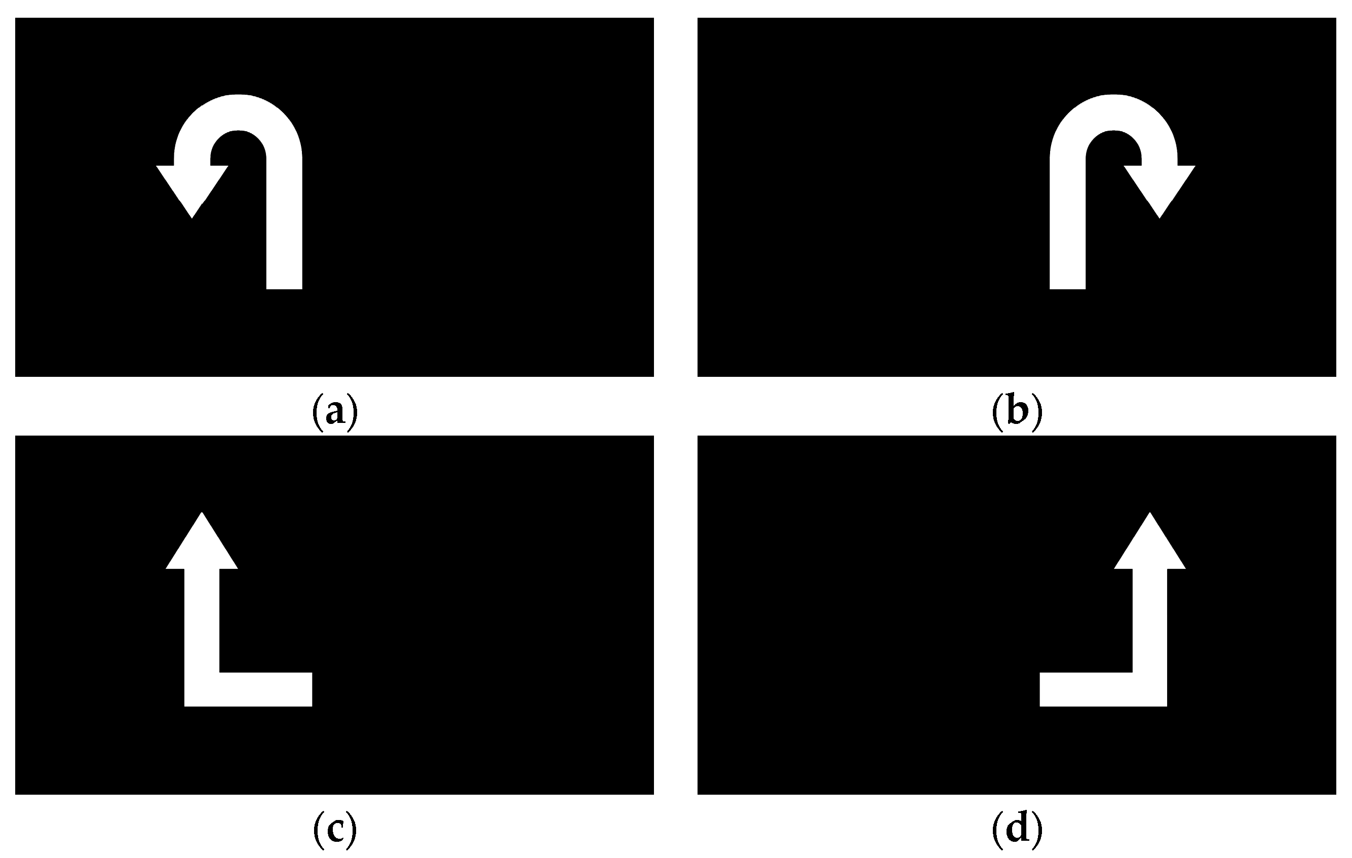 Biomimetics 10 00452 g005