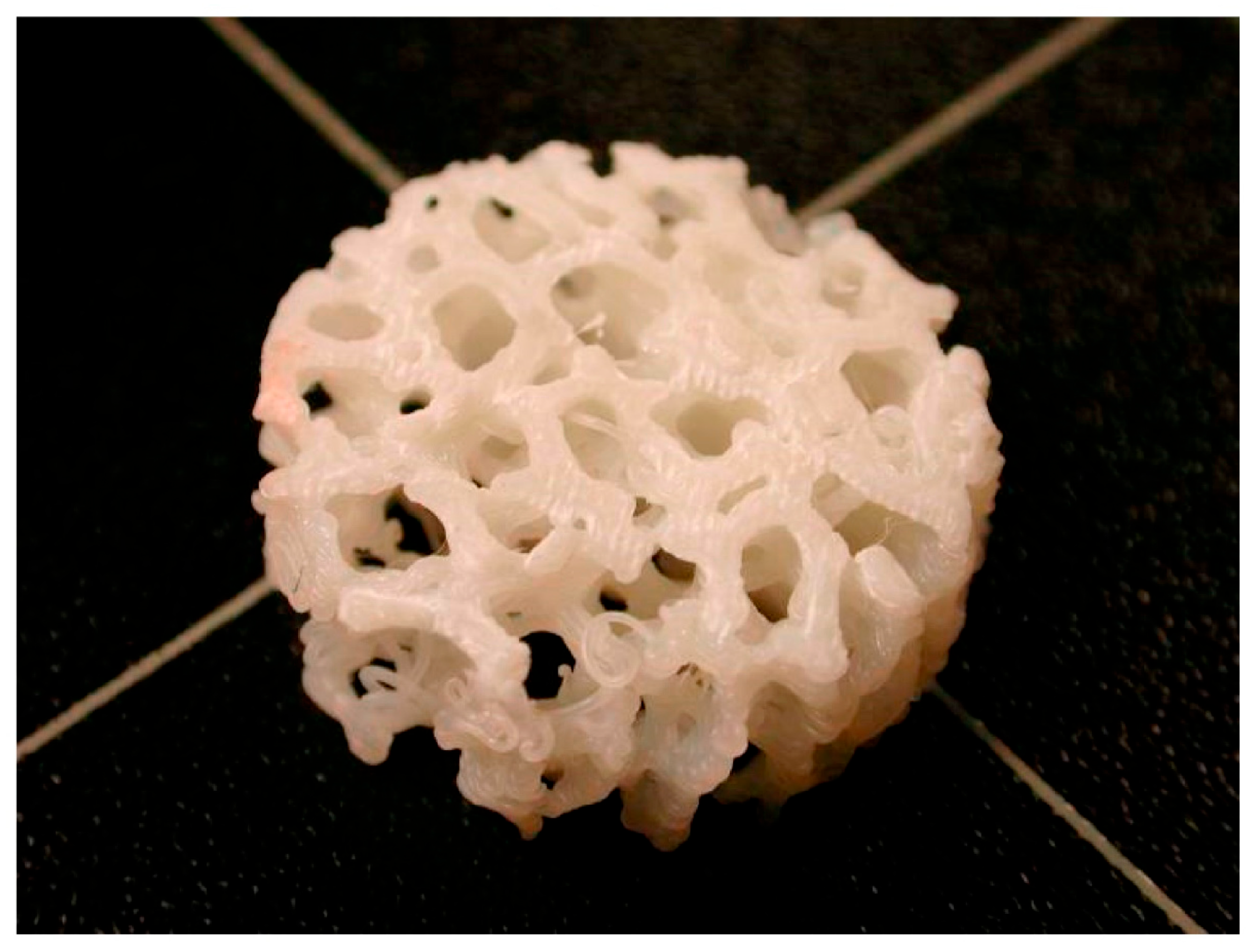 Biomimetics 10 00453 g002