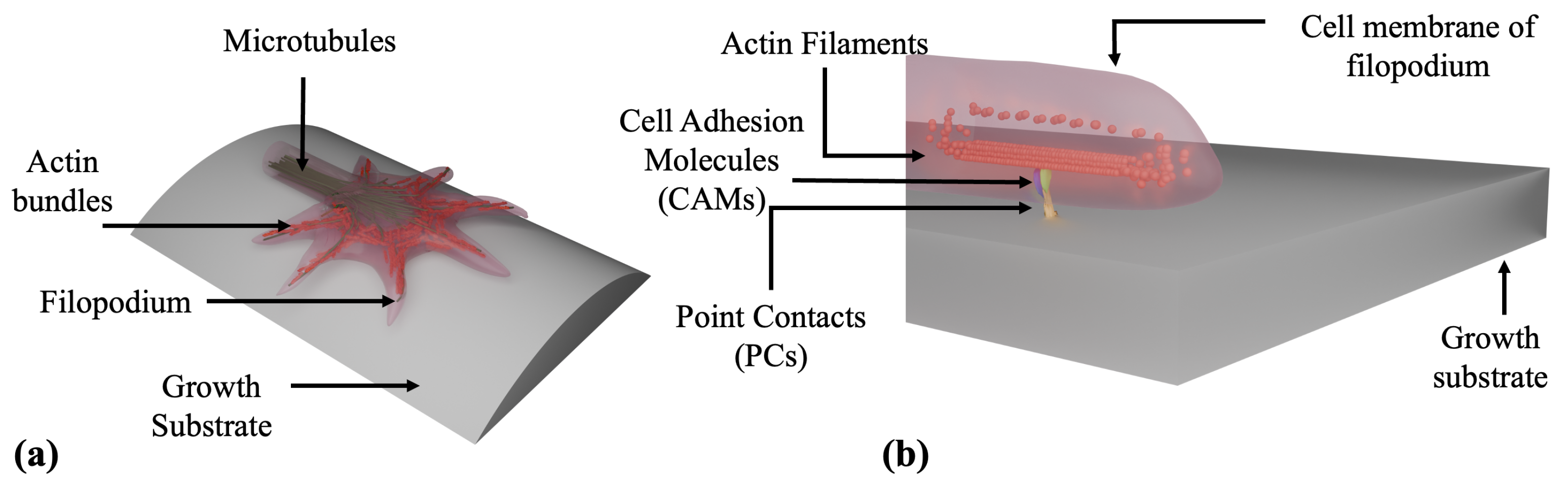 Biomimetics 10 00456 g001