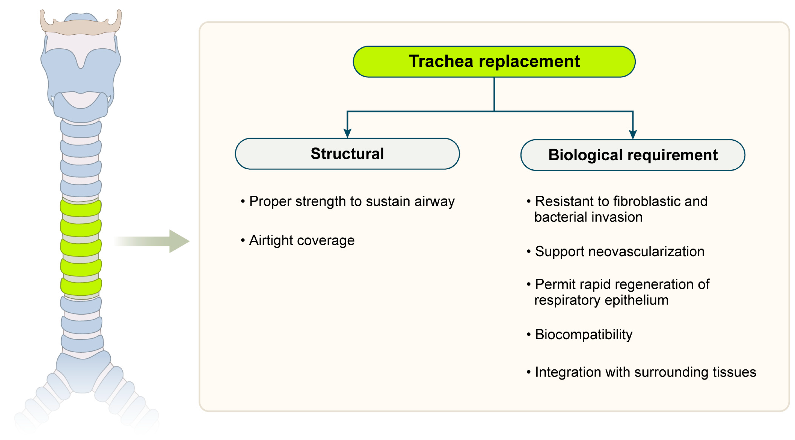 Biomimetics 10 00457 g001 Biomimetics 10 00457 g001