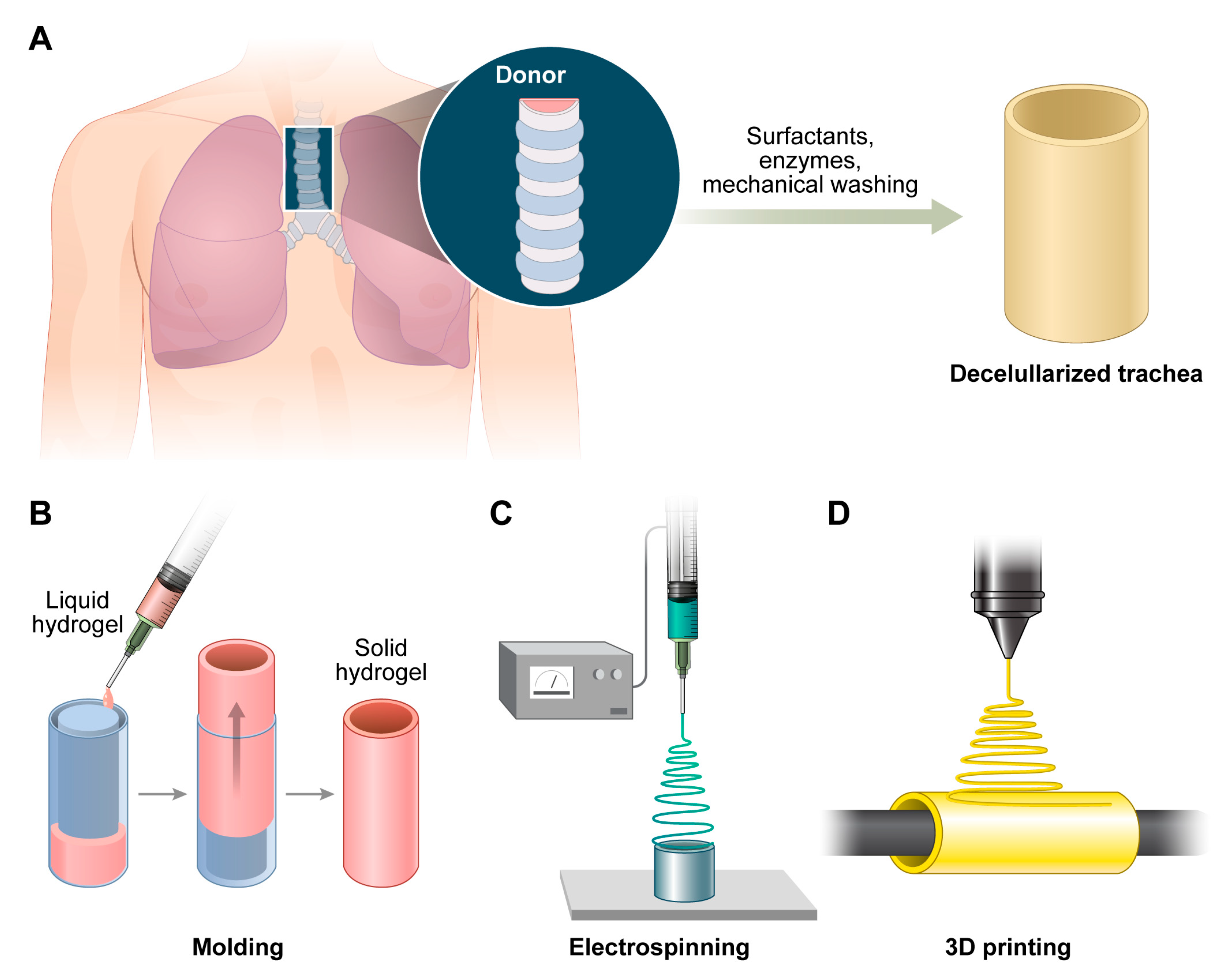 Biomimetics 10 00457 g003 Biomimetics 10 00457 g003
