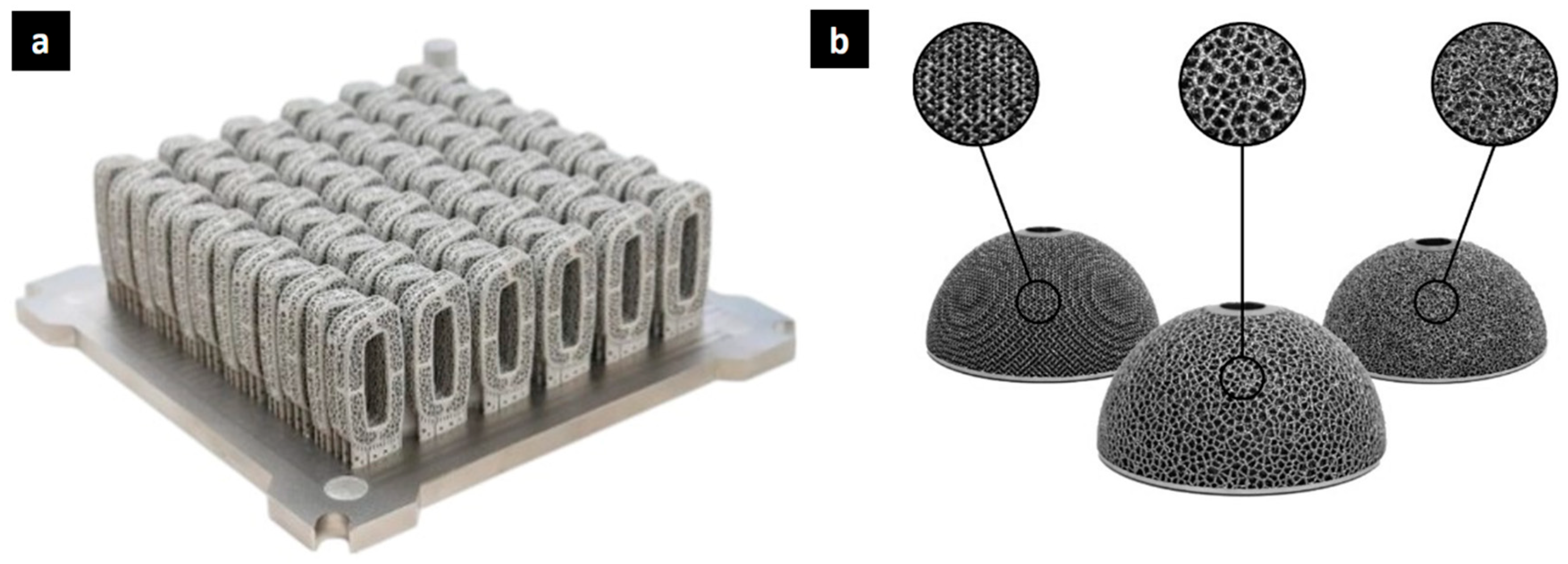Biomimetics 10 00458 g002