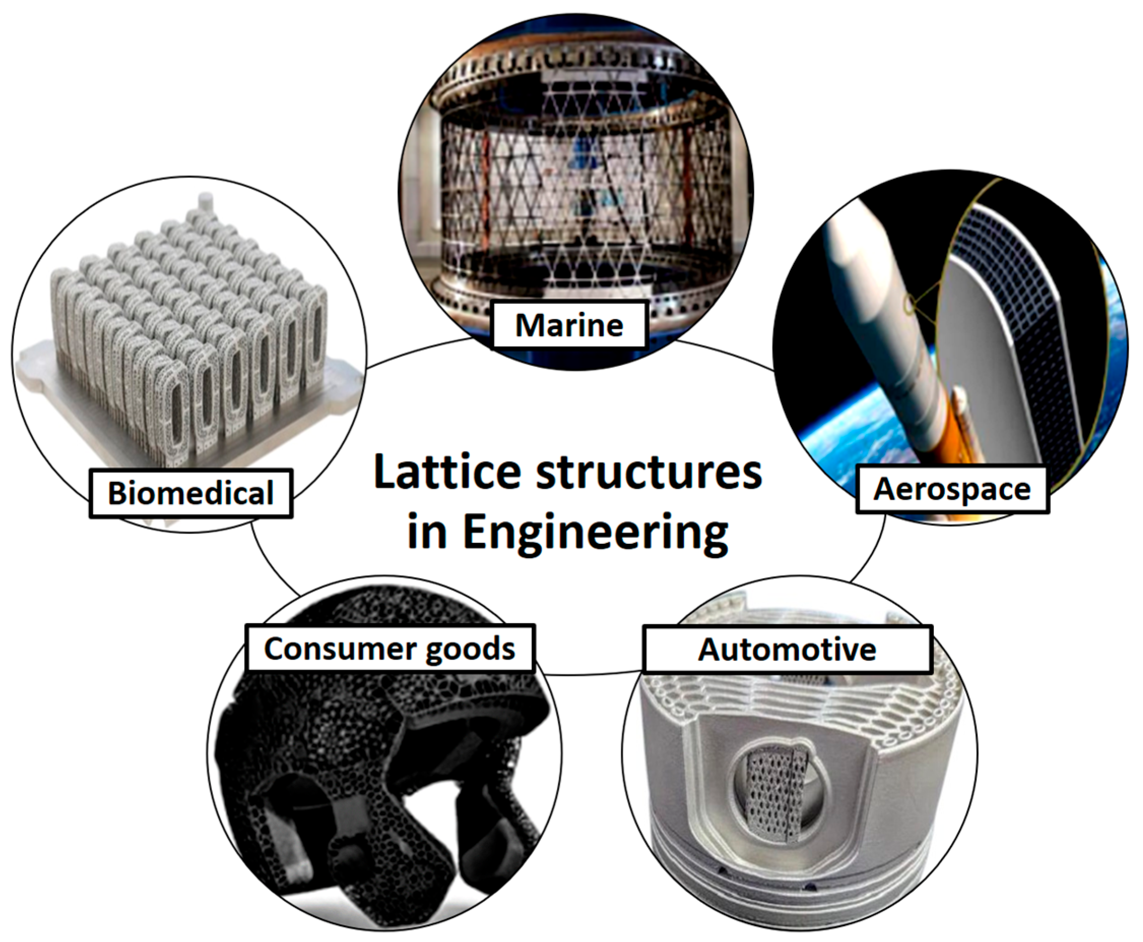 Biomimetics 10 00458 g004