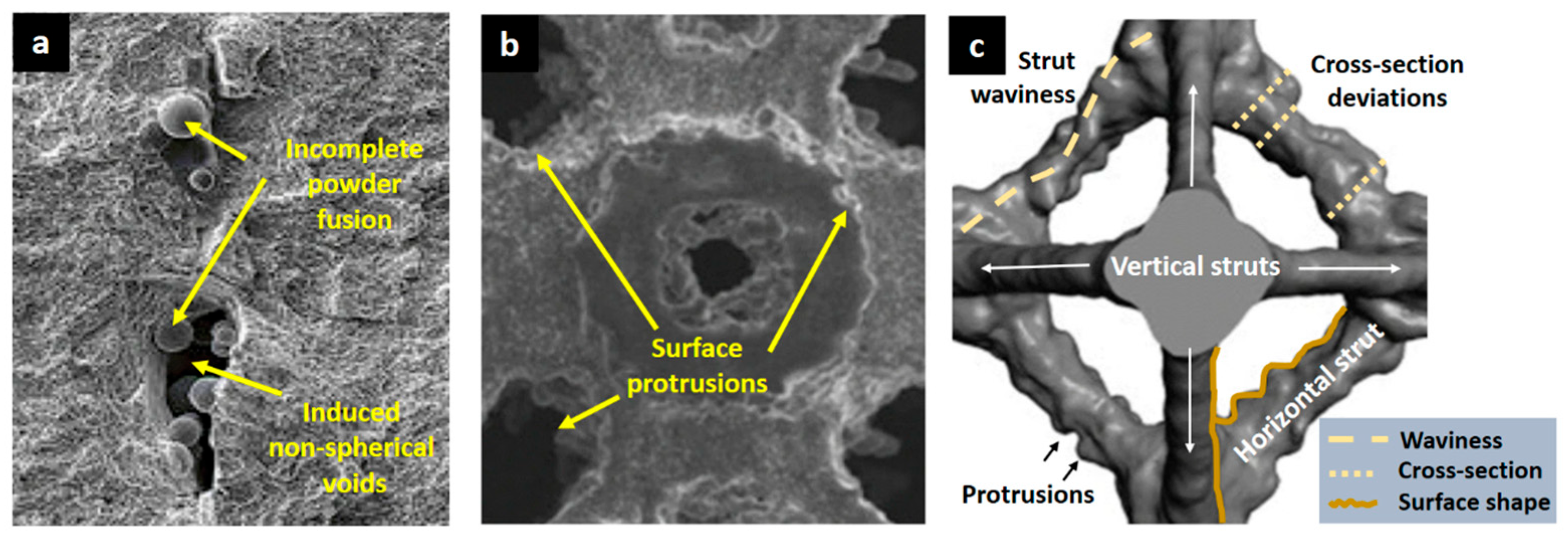 Biomimetics 10 00458 g008