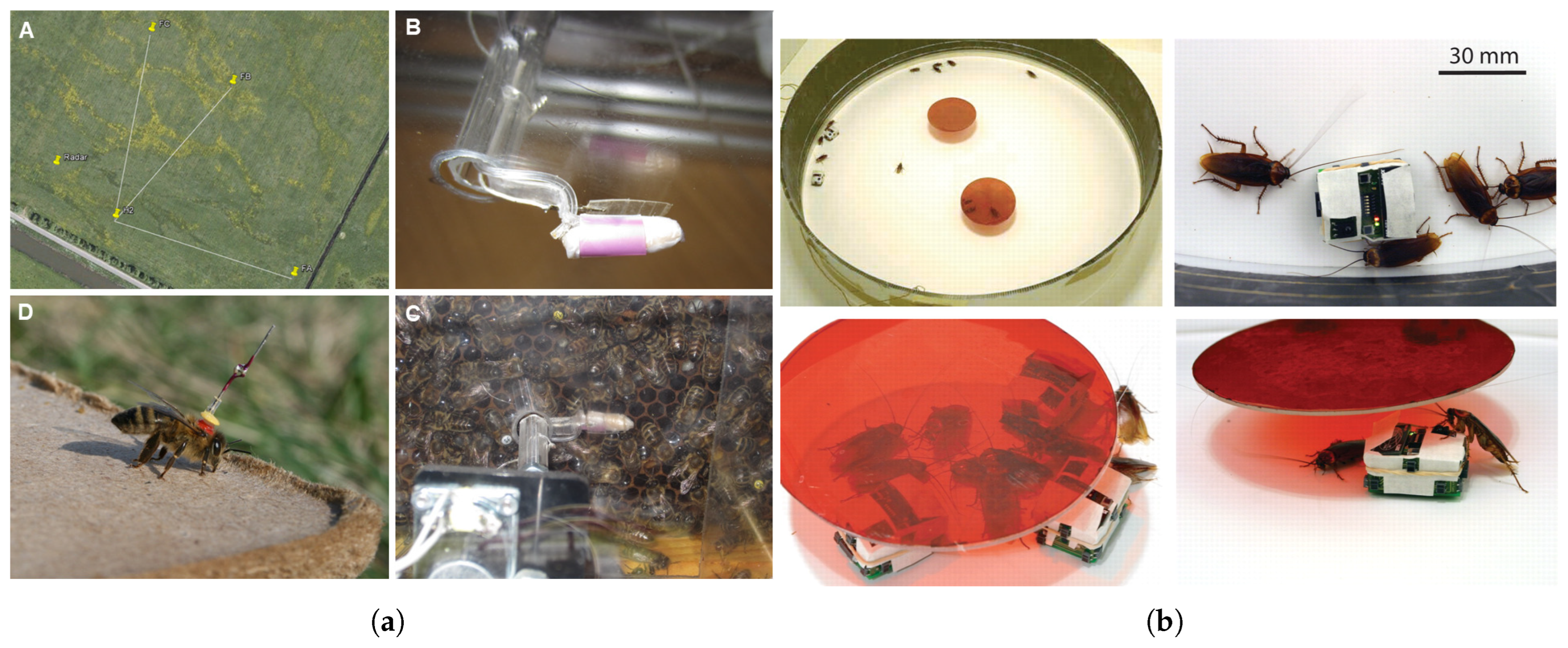 Biomimetics 10 00460 g004