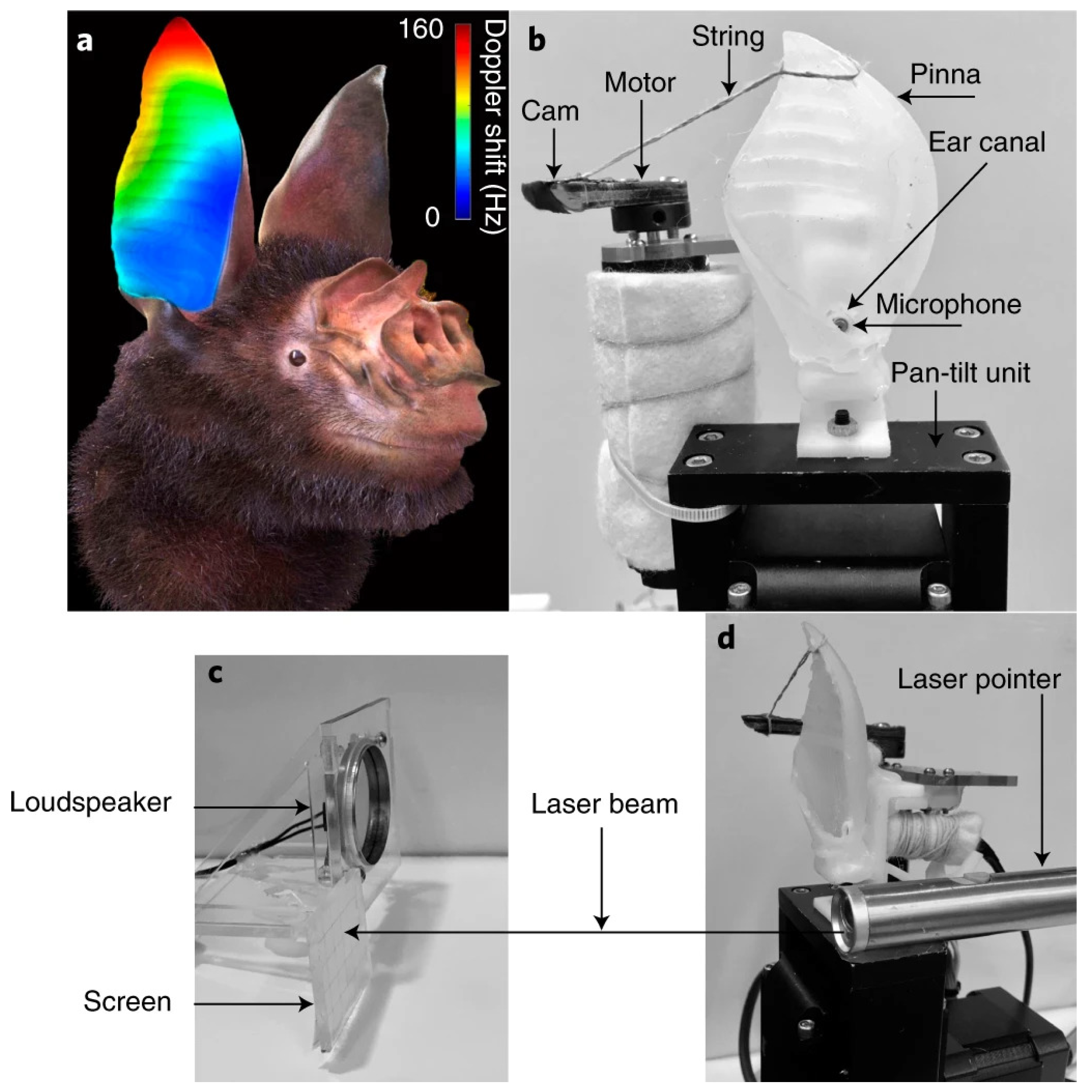 Biomimetics 10 00460 g007