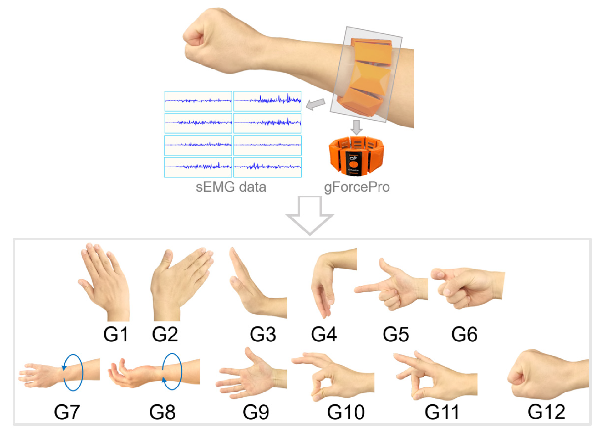 Biomimetics 10 00464 g001