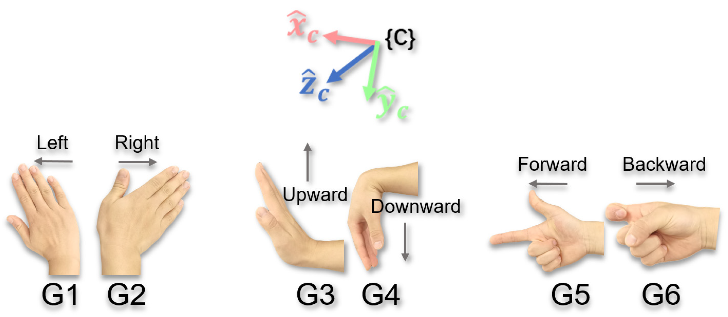 Biomimetics 10 00464 g003