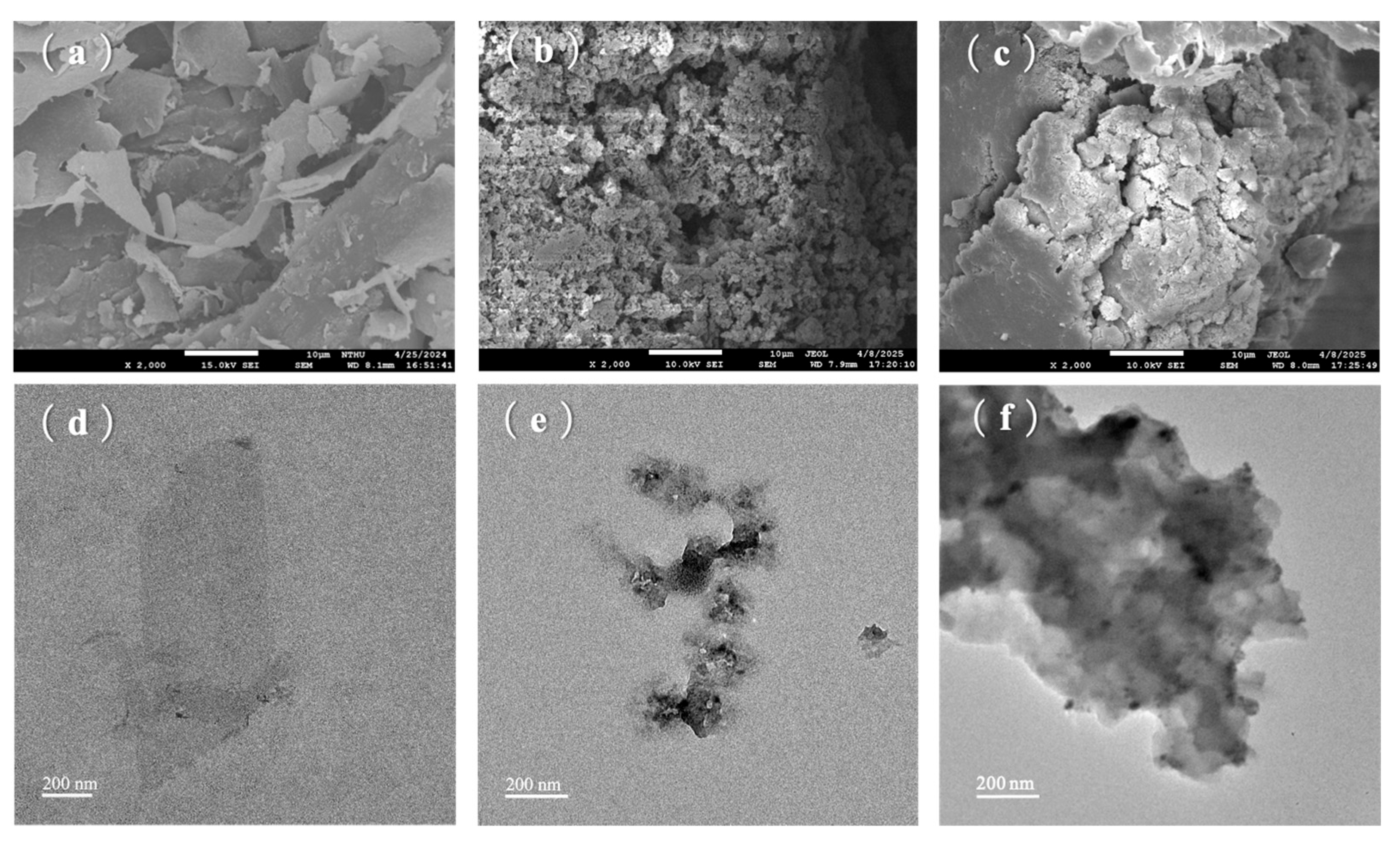 Biomimetics 10 00465 g007