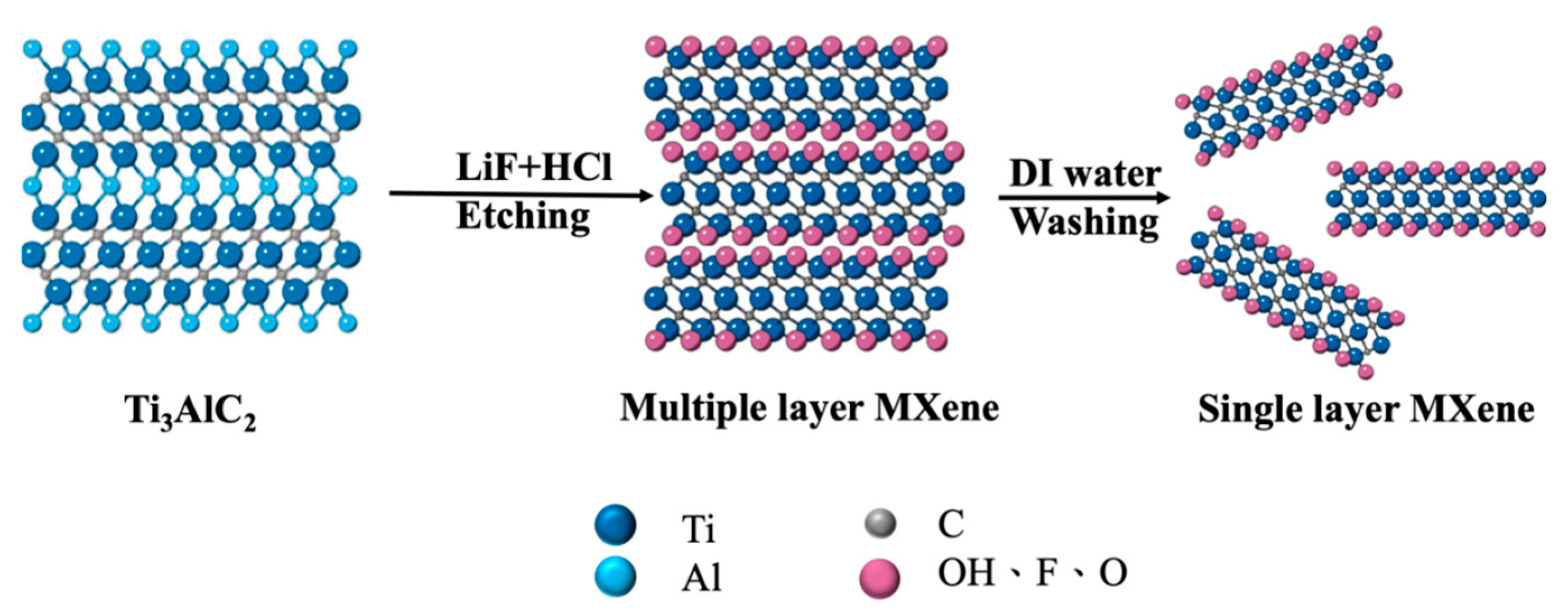 Biomimetics 10 00465 sch001