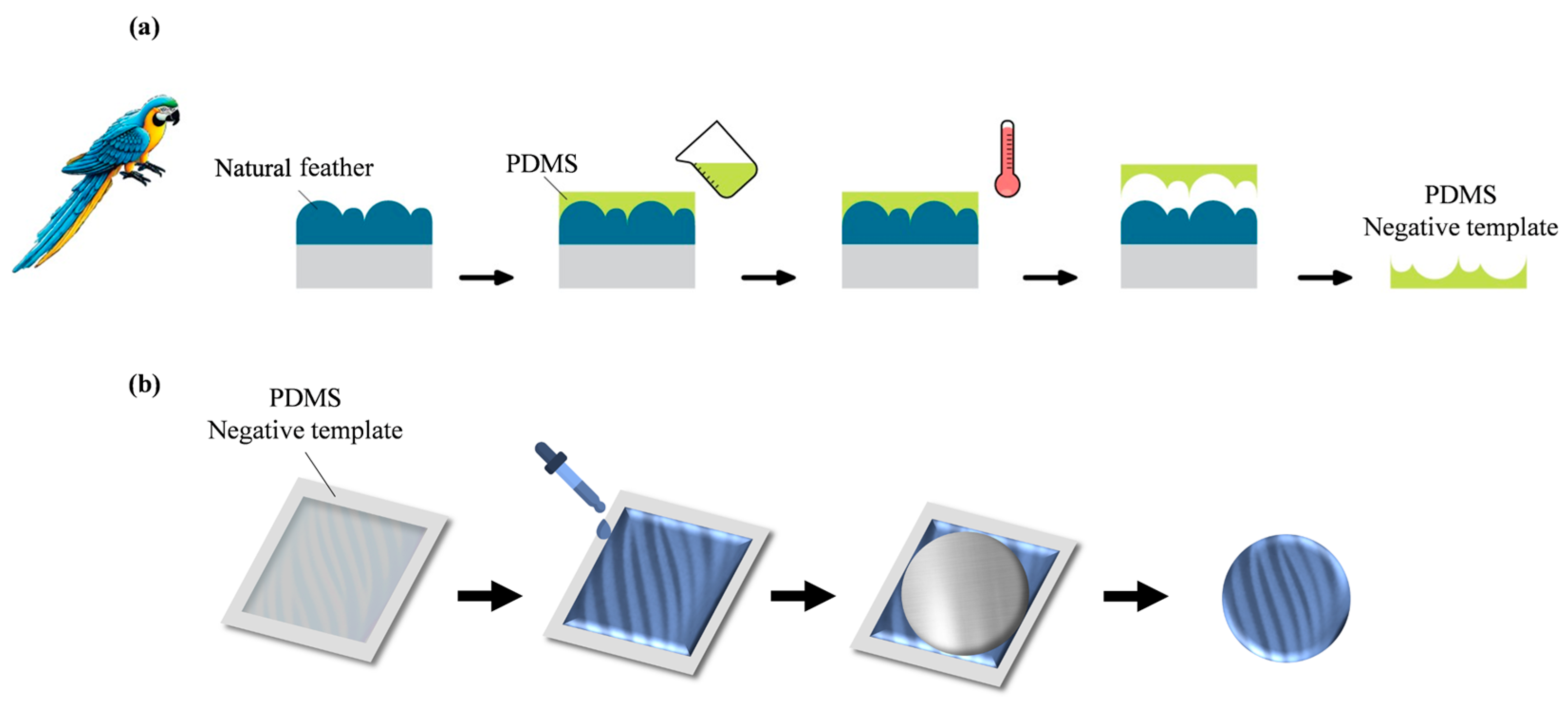 Biomimetics 10 00465 sch003
