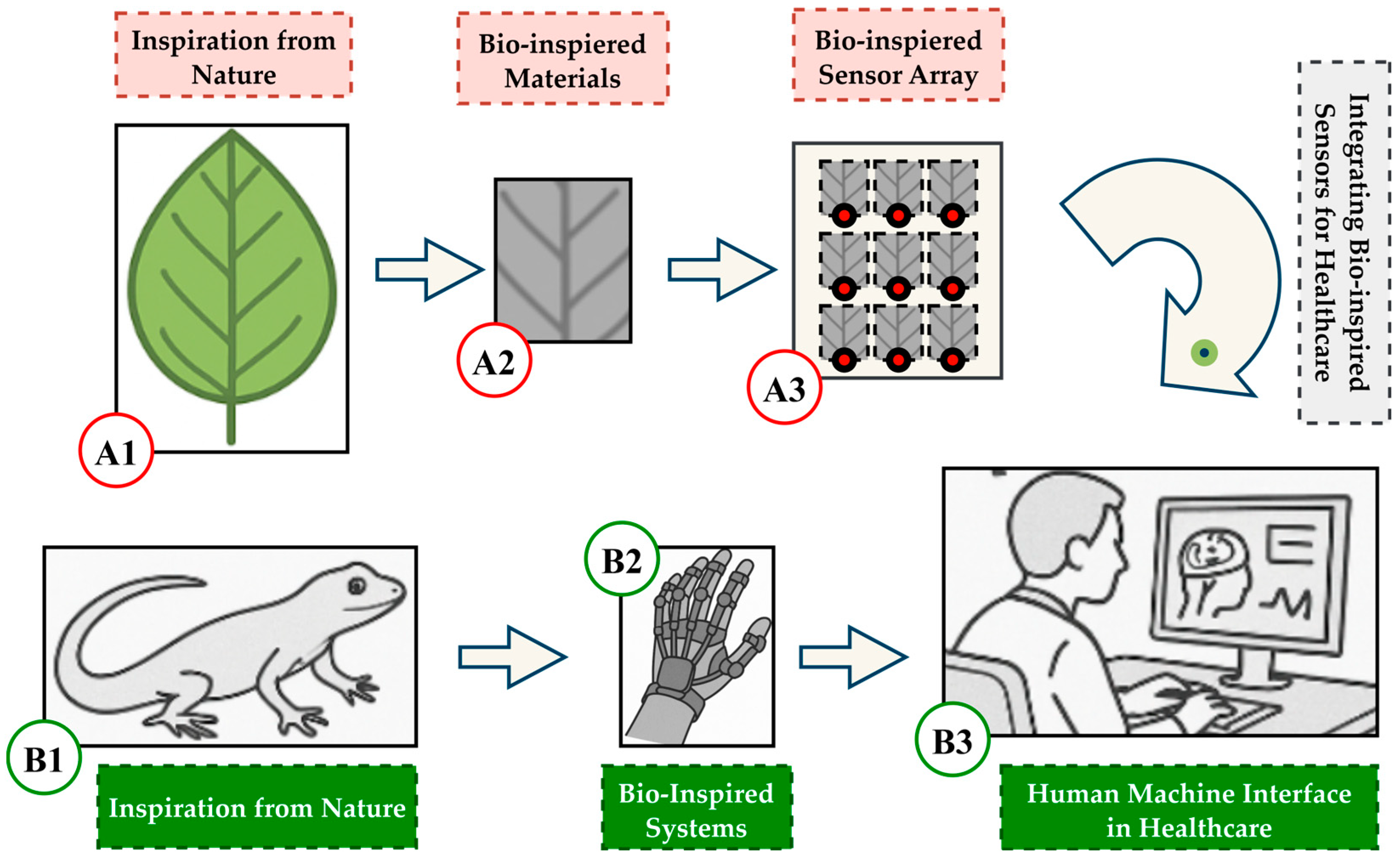 Biomimetics 10 00466 g001