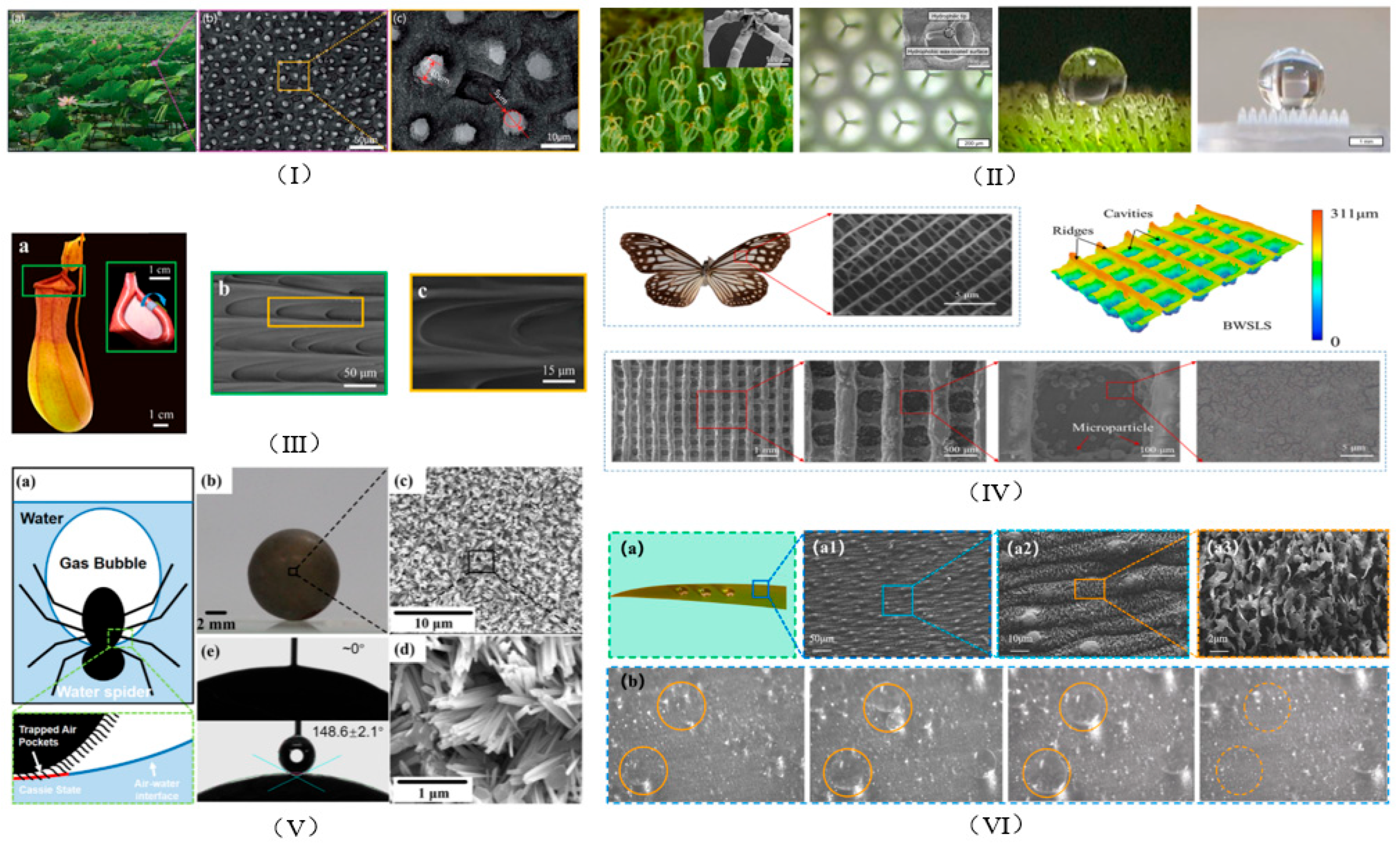 Biomimetics 10 00470 g006