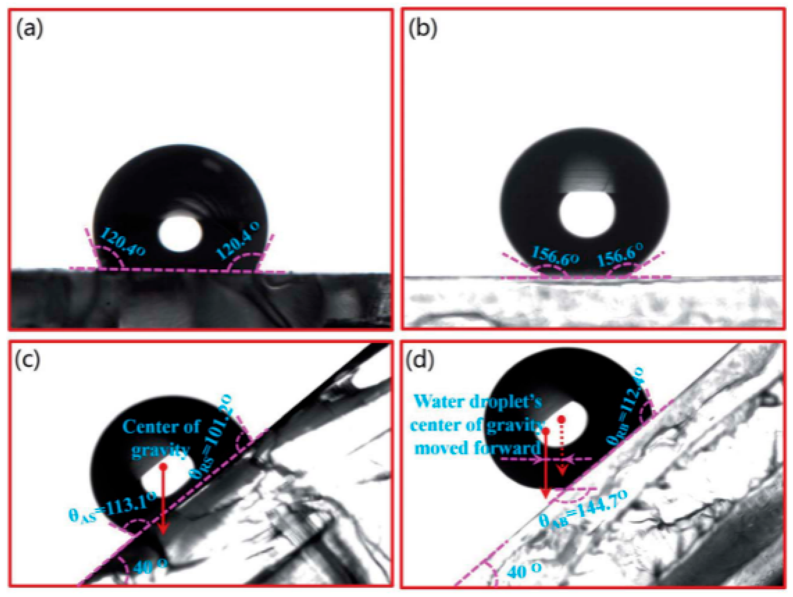 Biomimetics 10 00470 g008