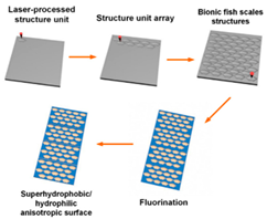 Biomimetics 10 00470 i009