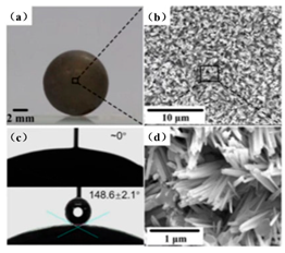 Biomimetics 10 00470 i011