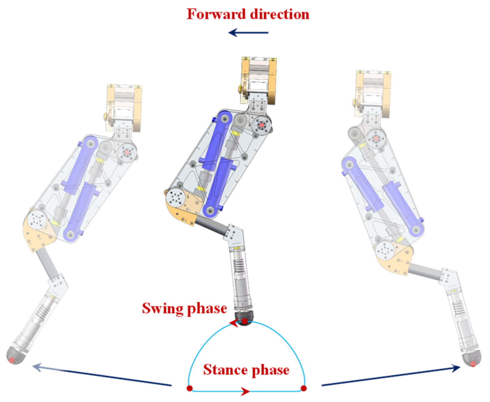 Biomimetics 10 00472 g007