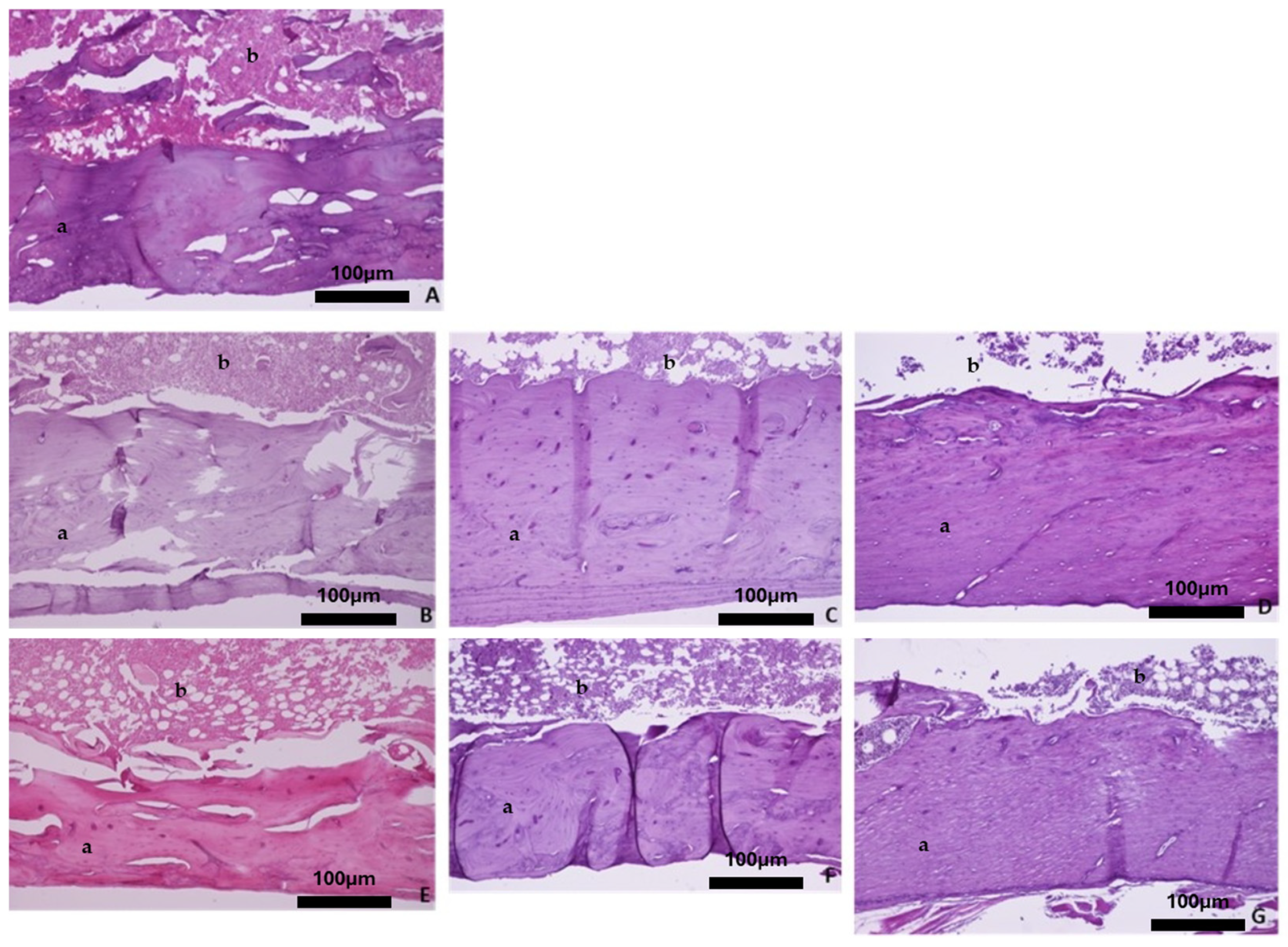 Biomimetics 10 00474 g004