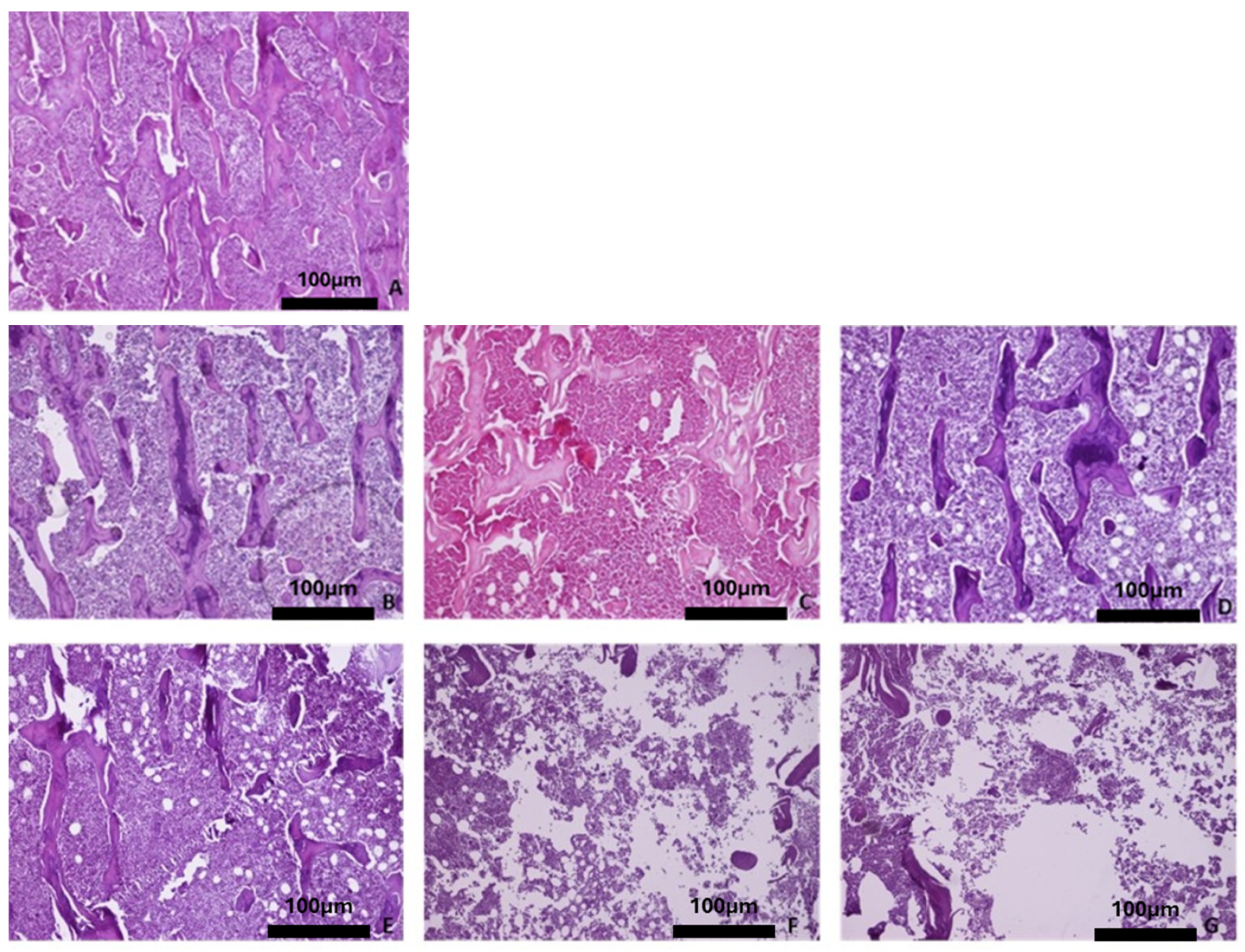 Biomimetics 10 00474 g005