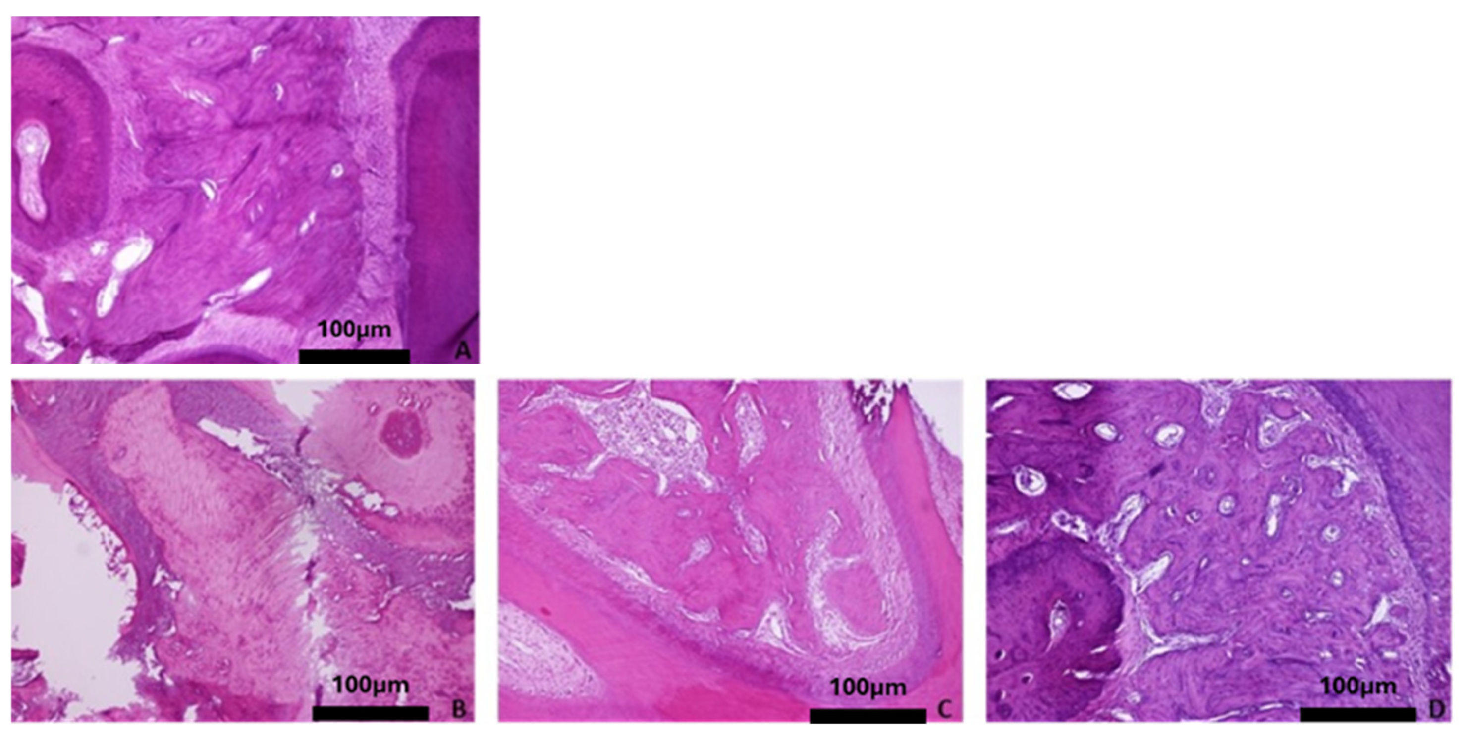 Biomimetics 10 00474 g006a