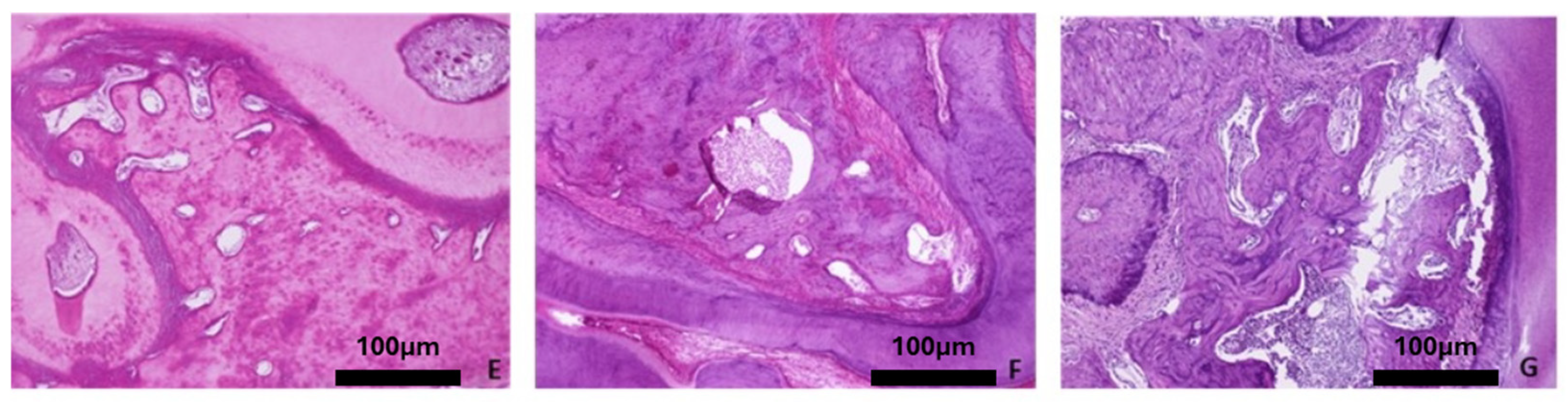 Biomimetics 10 00474 g006b