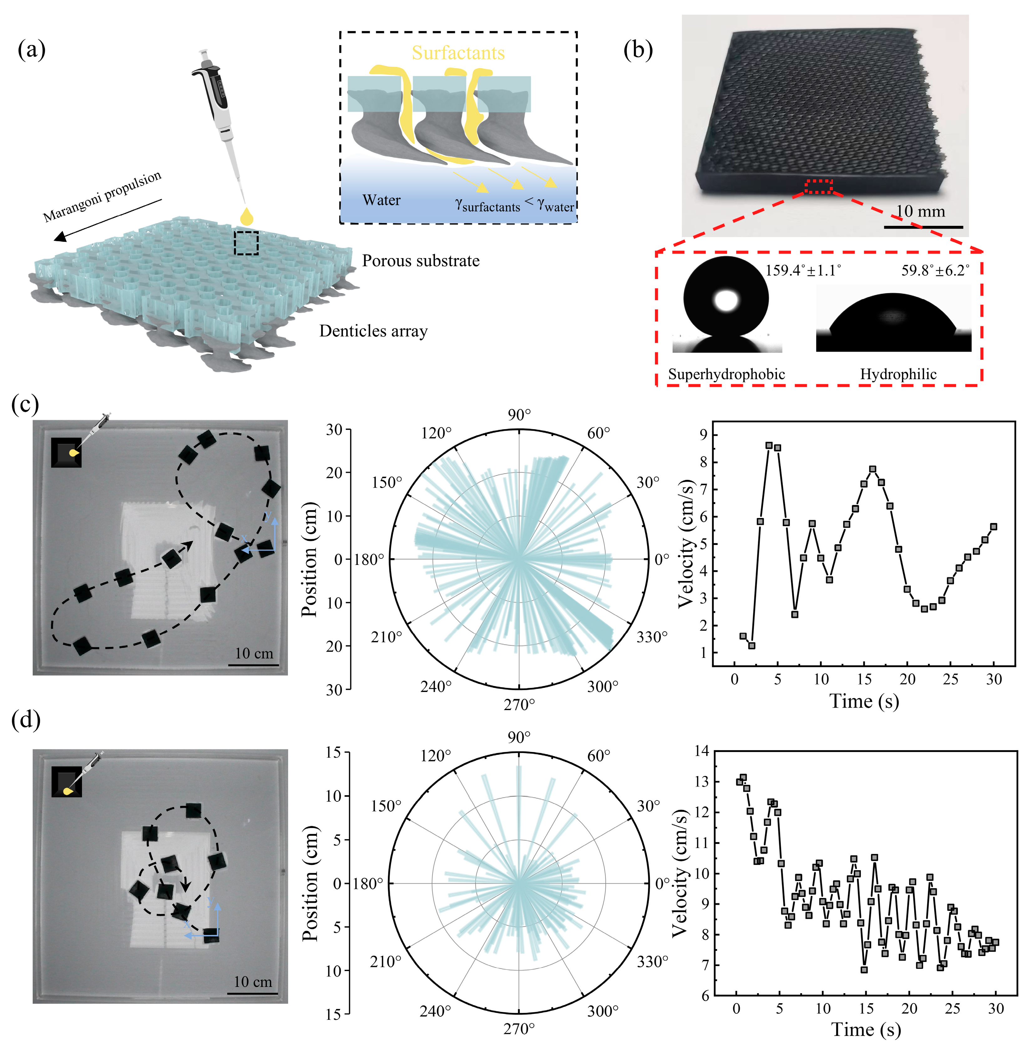 Biomimetics 10 00479 g002