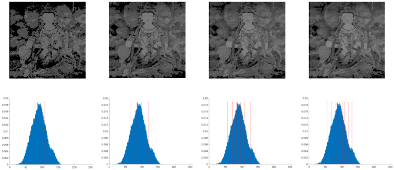 Biomimetics 10 00482 i003