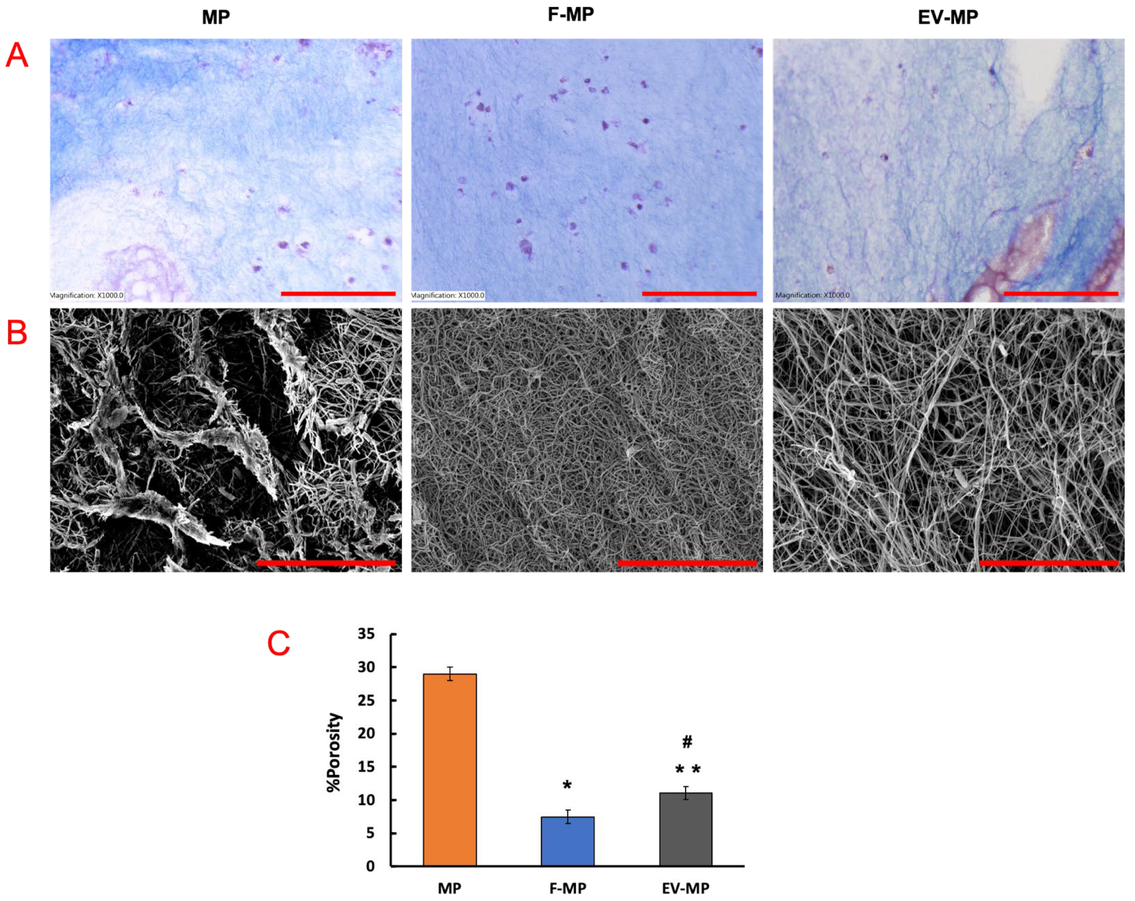 Biomimetics 10 00484 g003