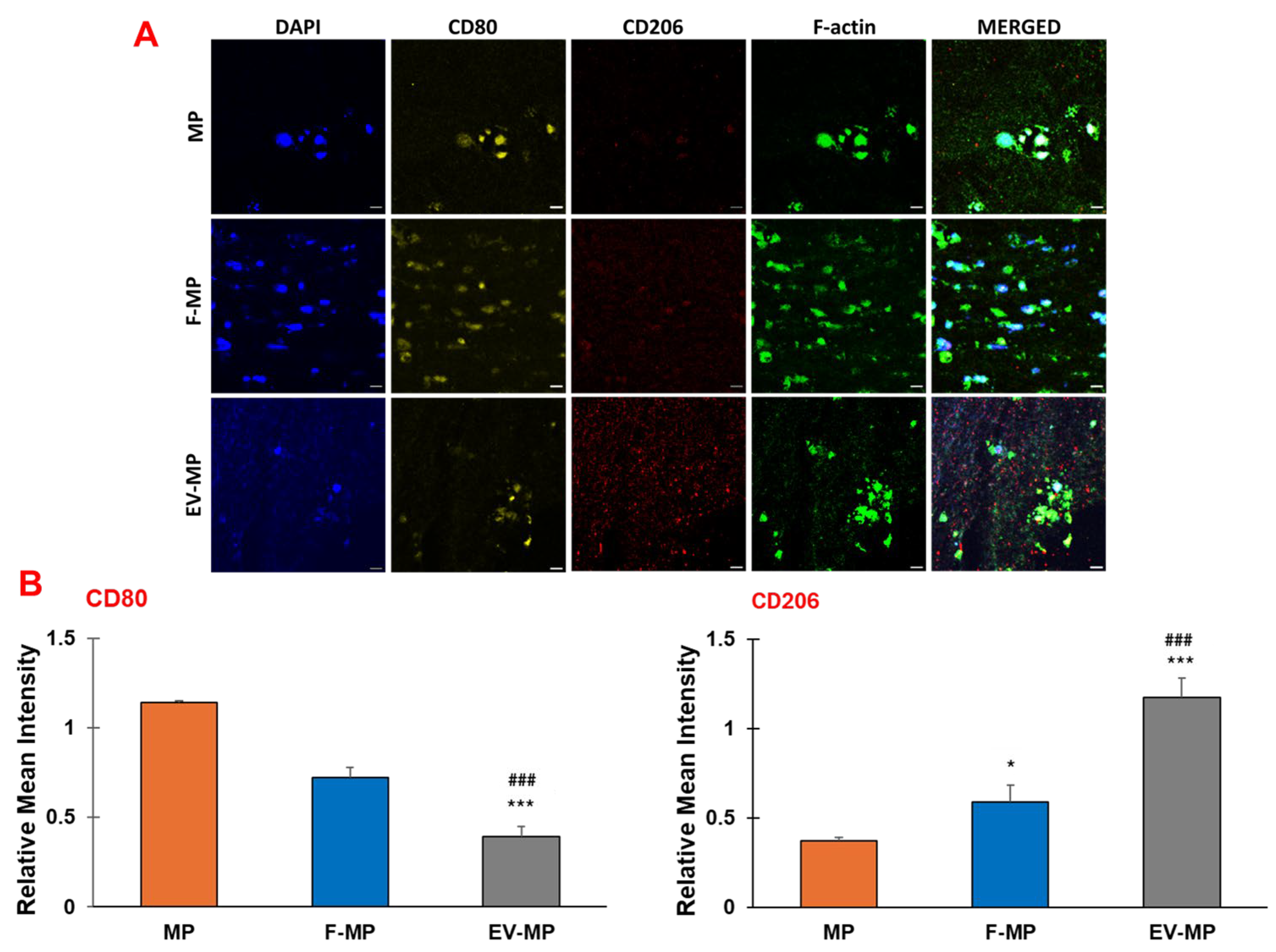 Biomimetics 10 00484 g006