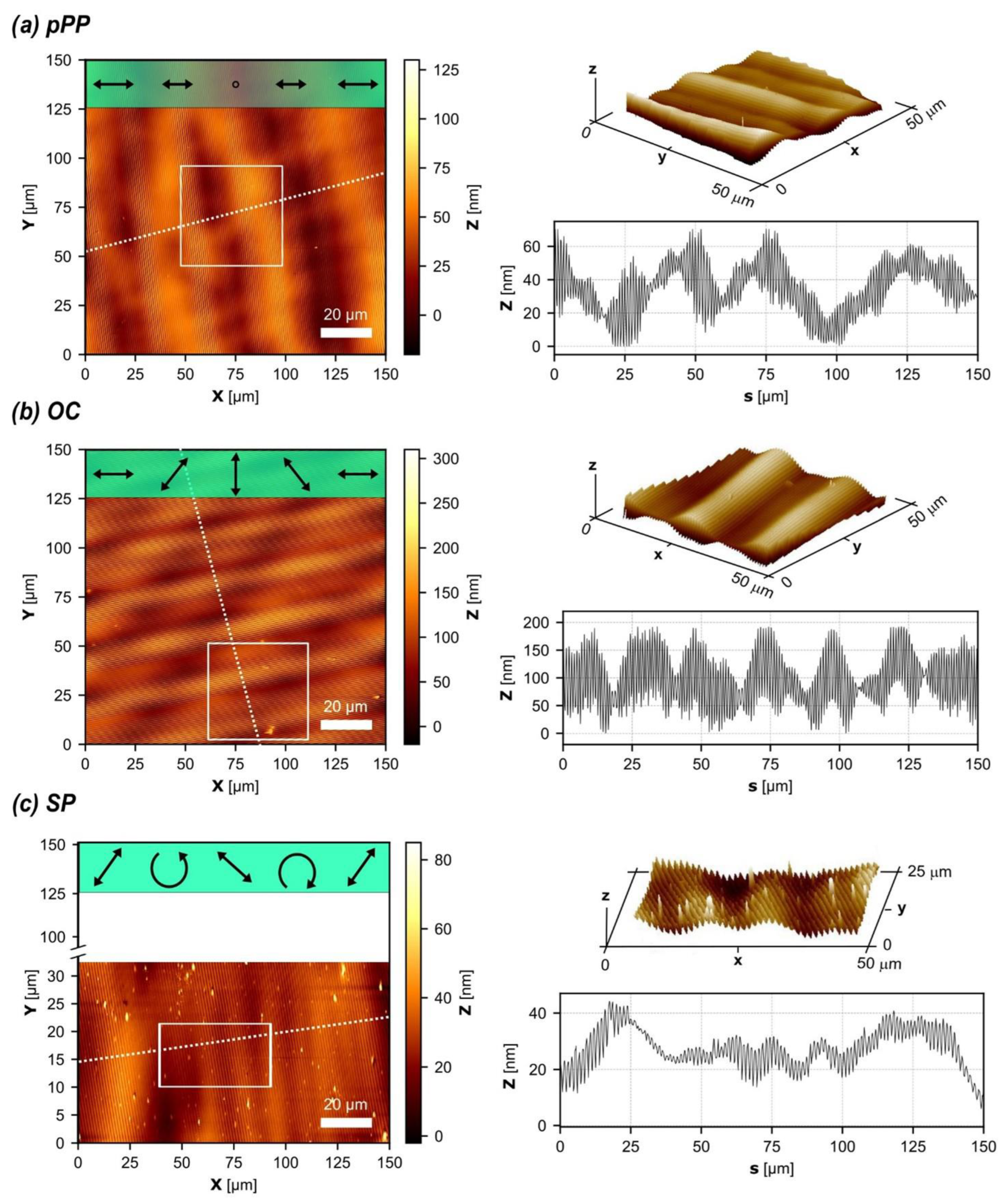 Biomimetics 10 00486 g002
