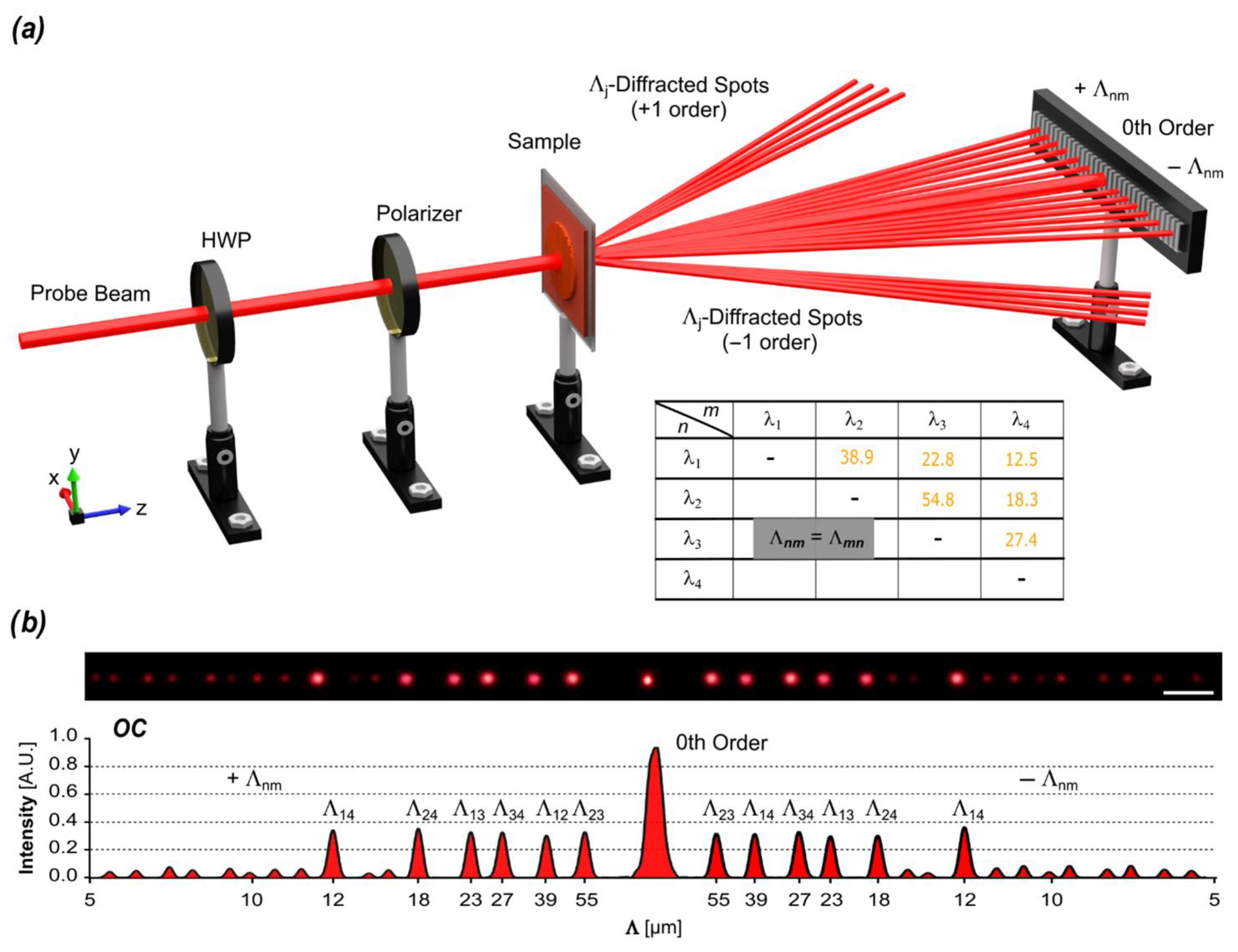 Biomimetics 10 00486 g004