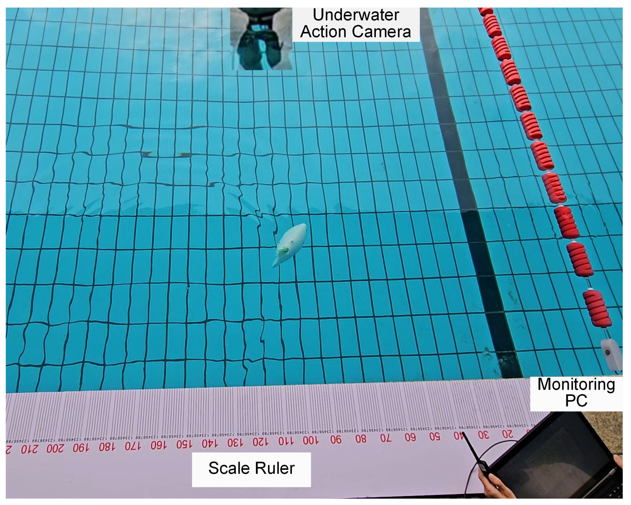 Biomimetics 10 00489 g010