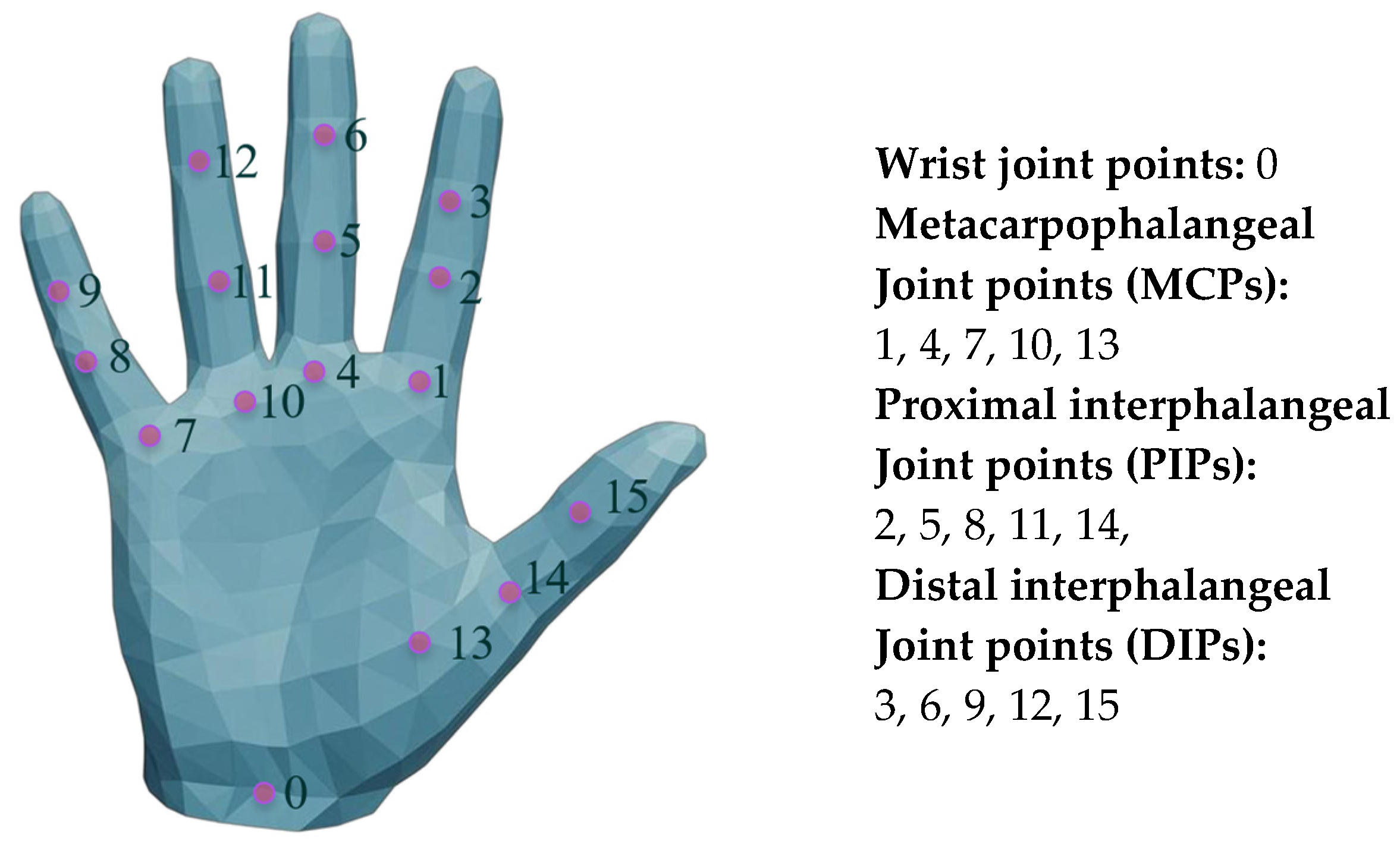 Biomimetics 10 00492 g004