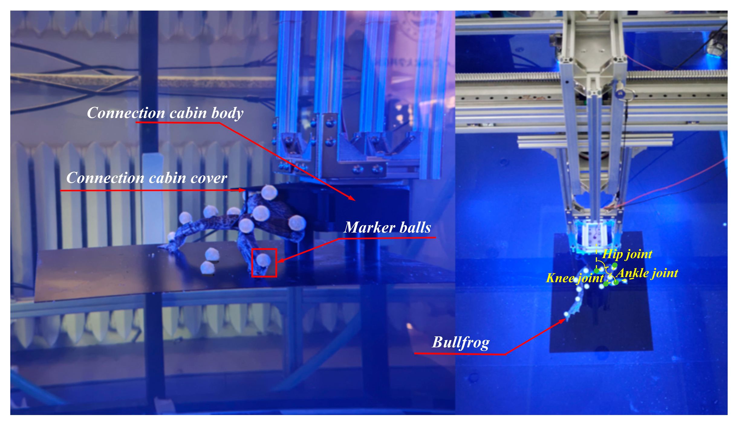 Biomimetics 10 00498 g003