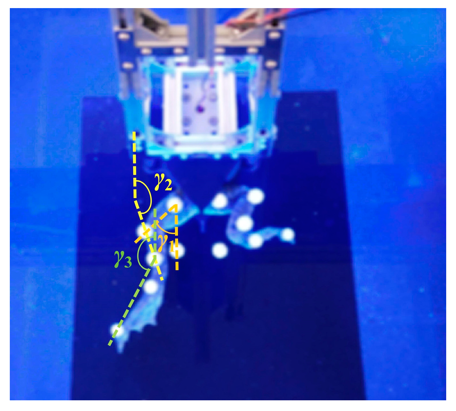 Biomimetics 10 00498 g004