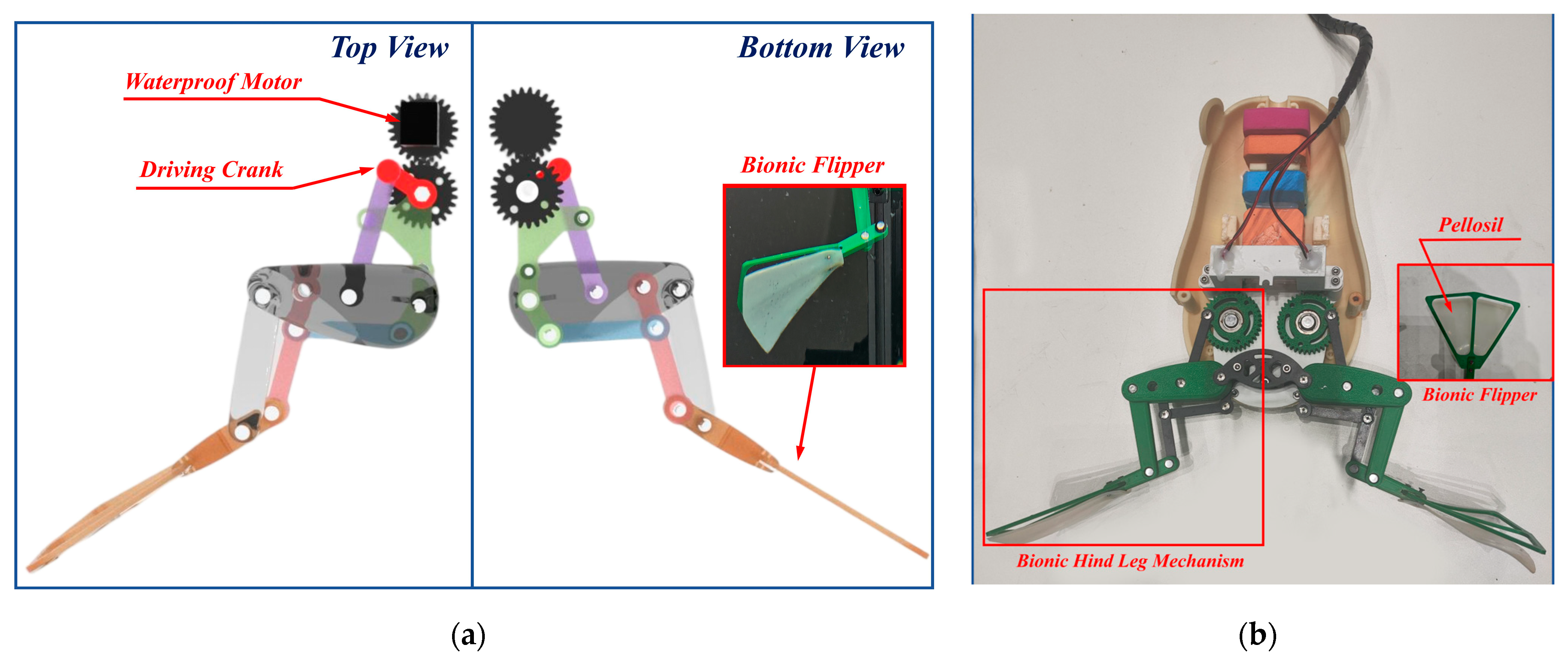 Biomimetics 10 00498 g007