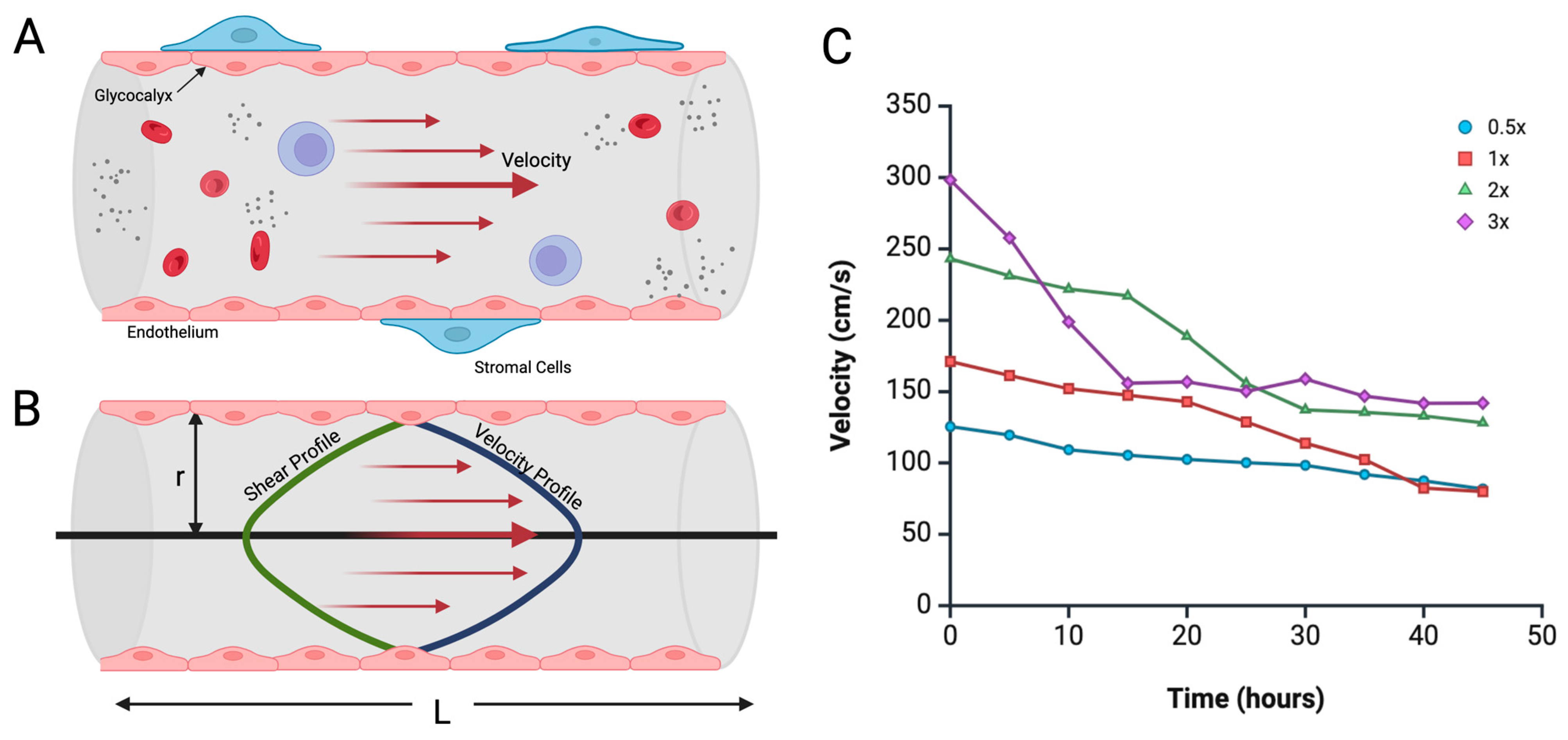 Biomimetics 10 00501 g002