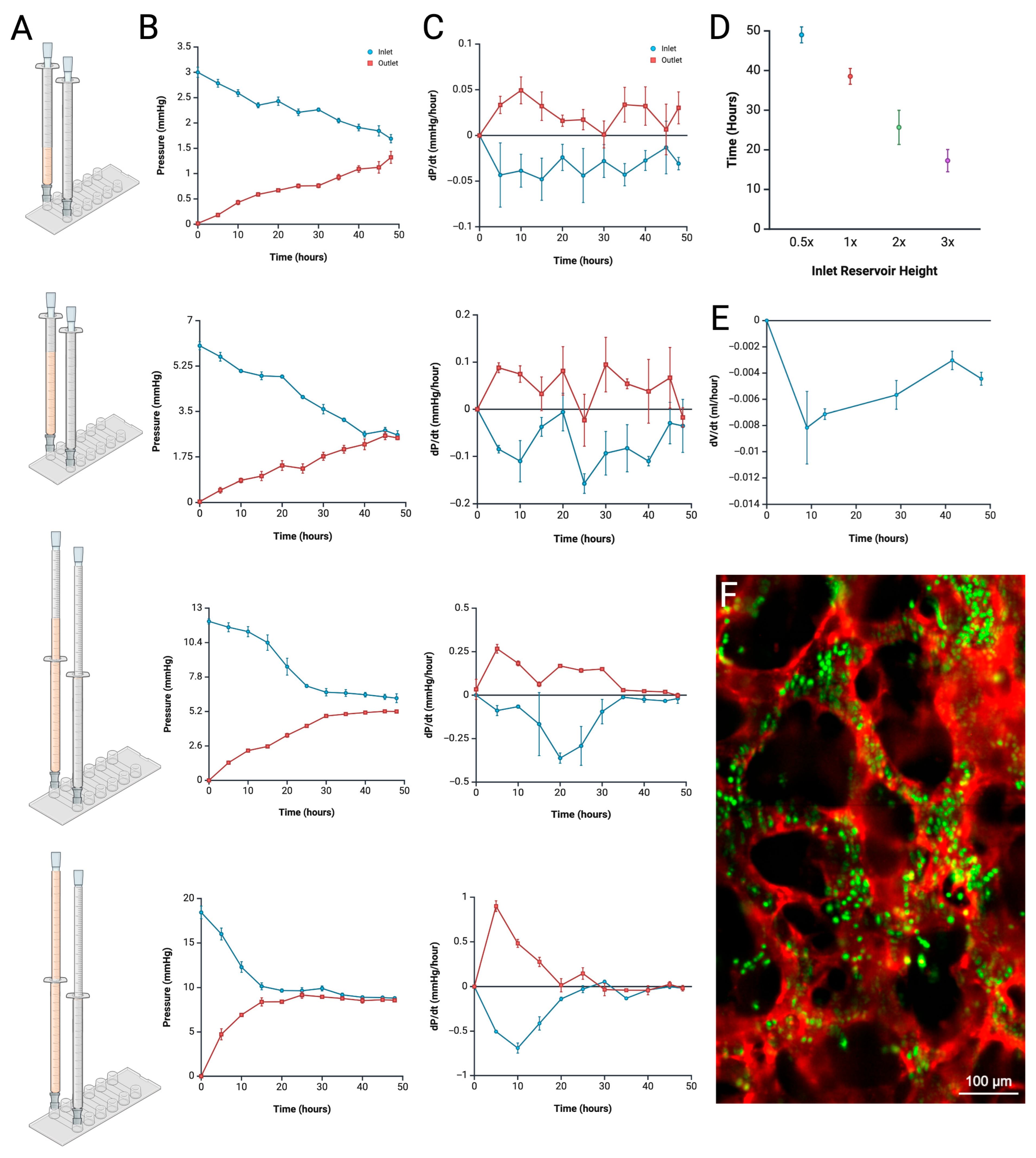Biomimetics 10 00501 g004