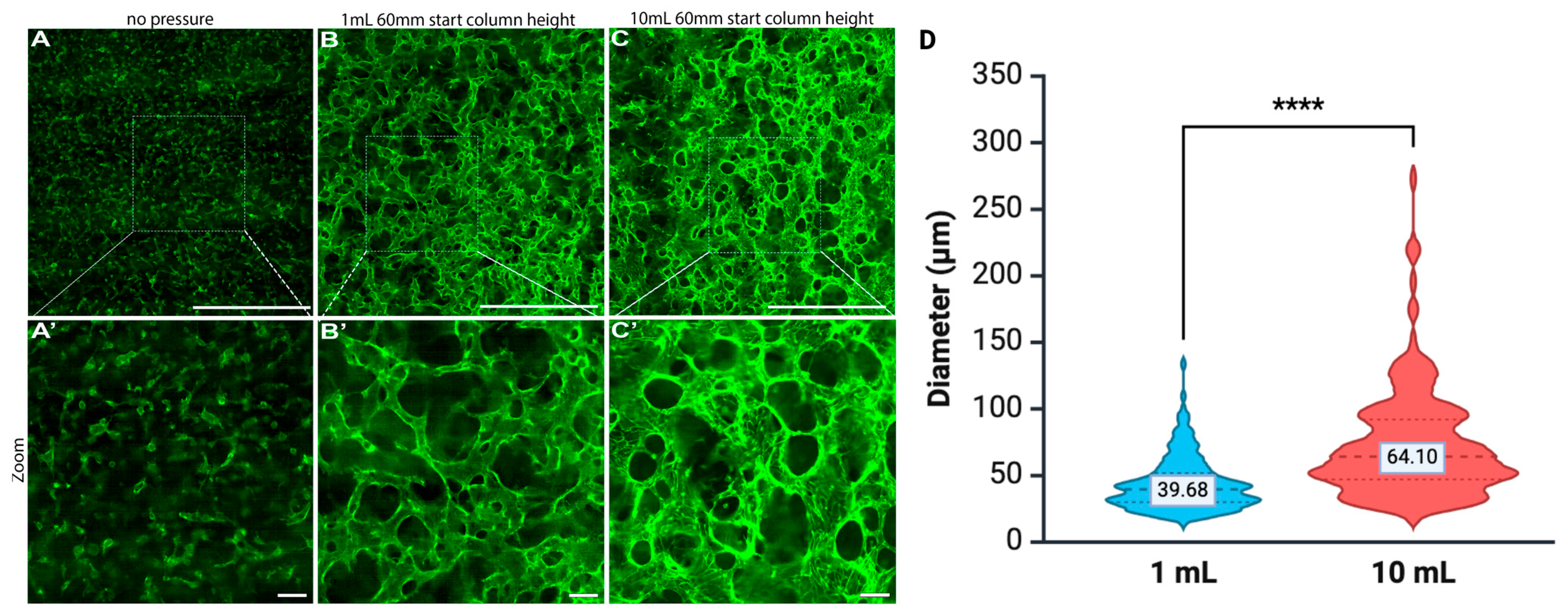 Biomimetics 10 00501 g006