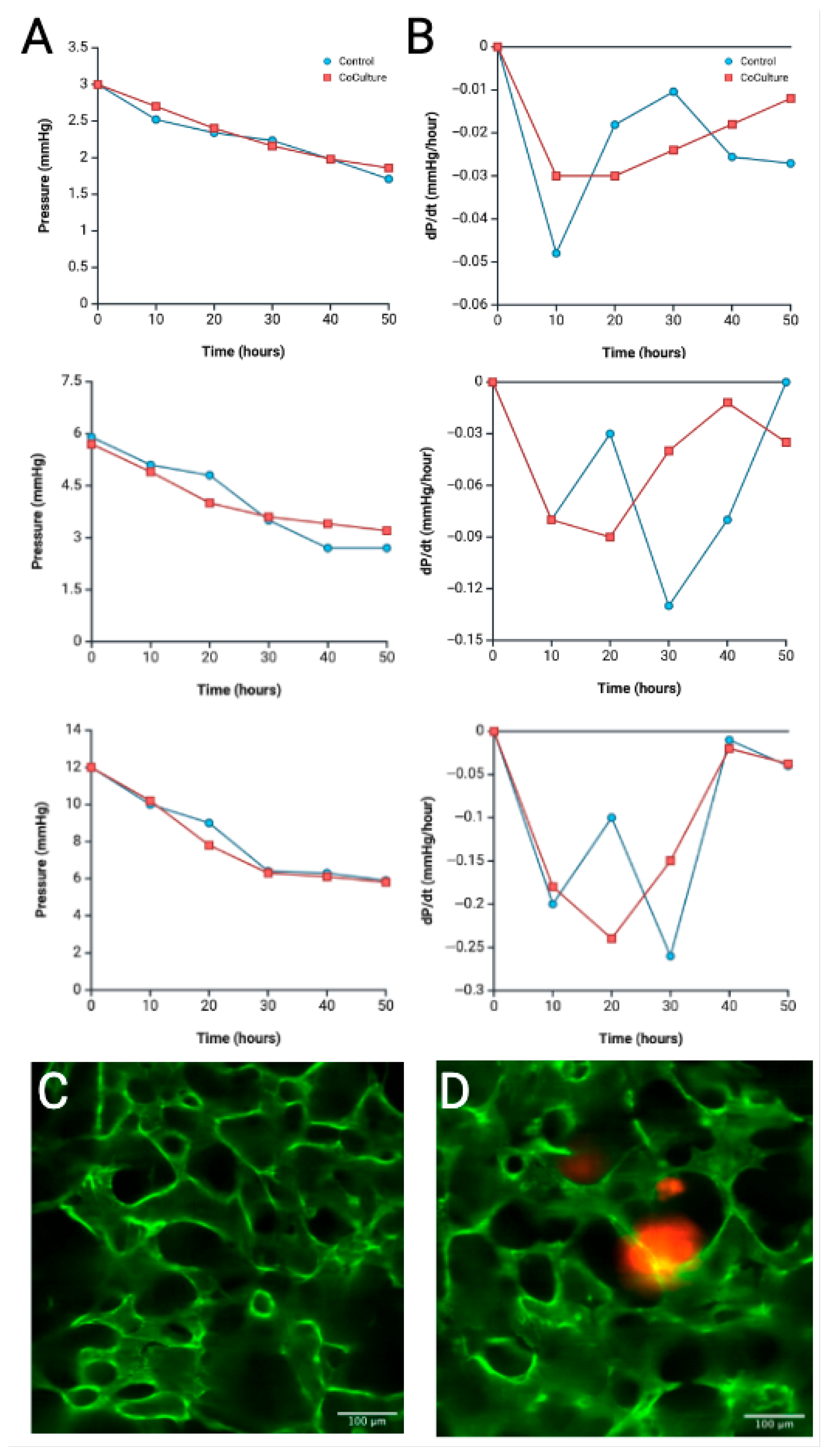 Biomimetics 10 00501 g007