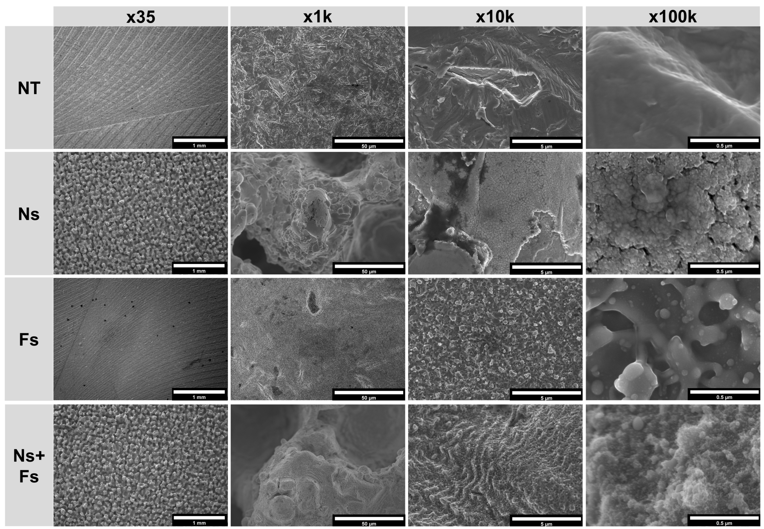 Biomimetics 10 00507 g004