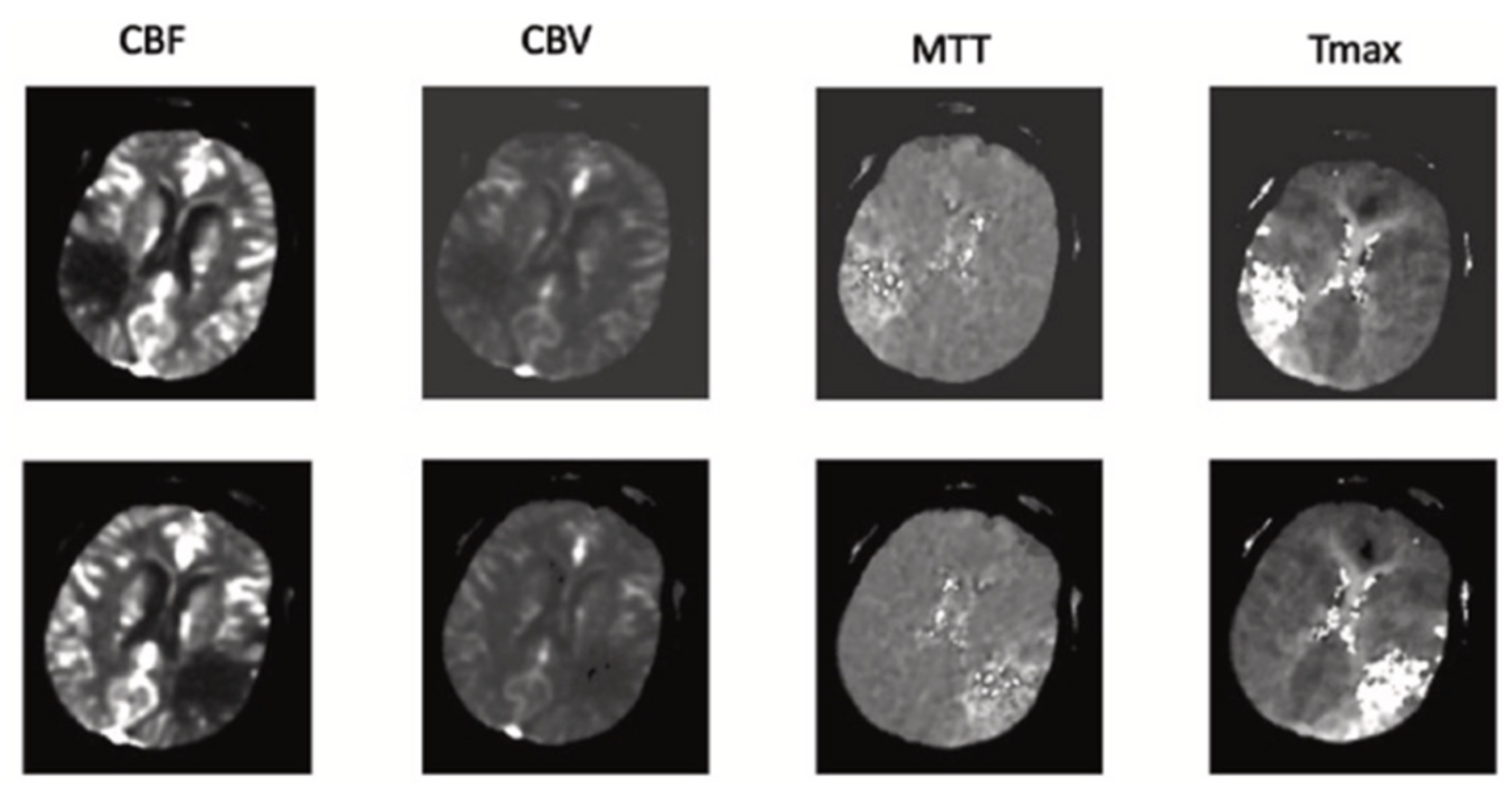 Biomimetics 10 00509 g001
