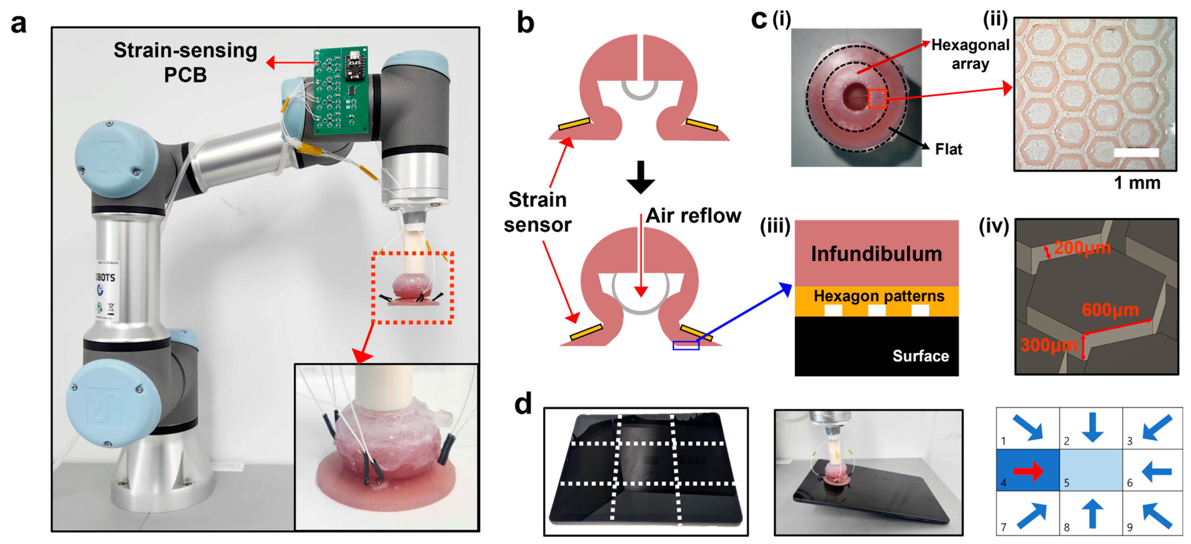 Biomimetics 10 00510 g001