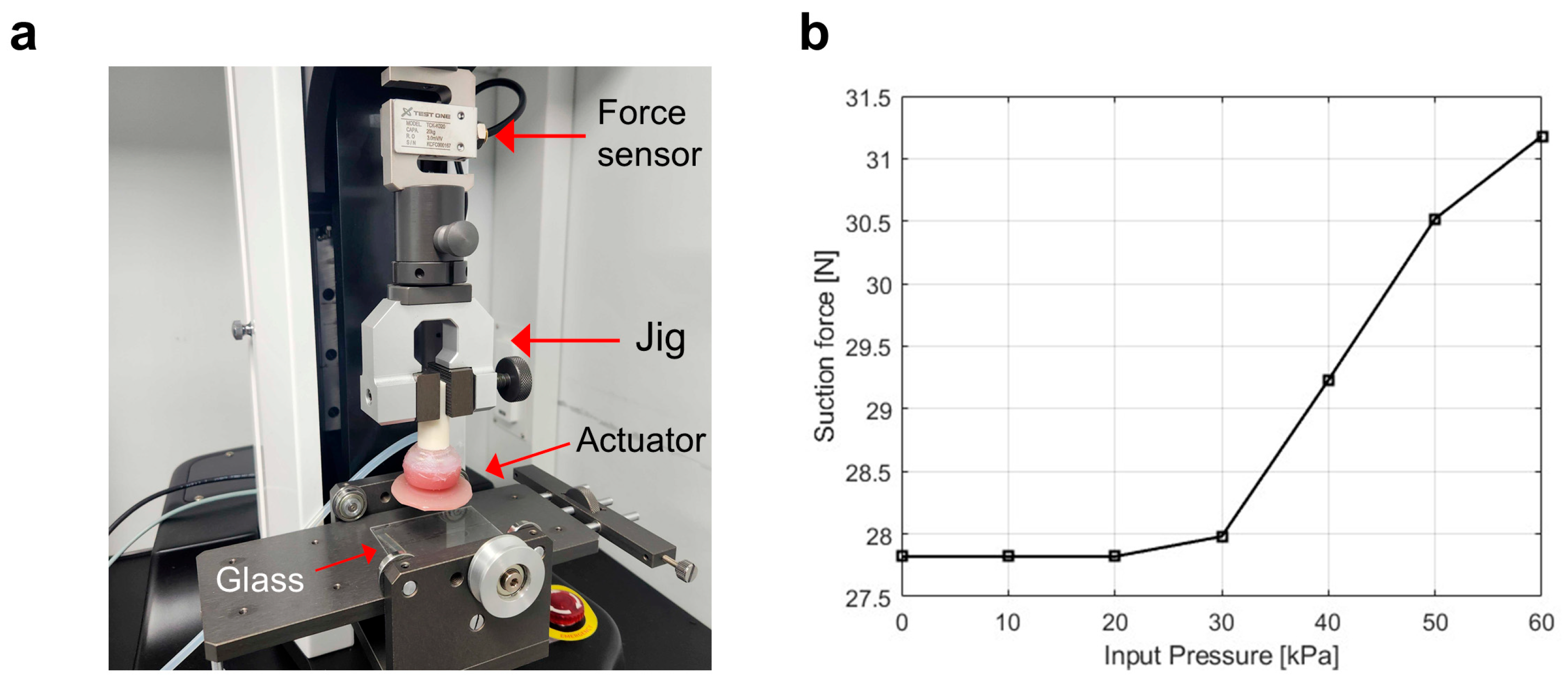 Biomimetics 10 00510 g005
