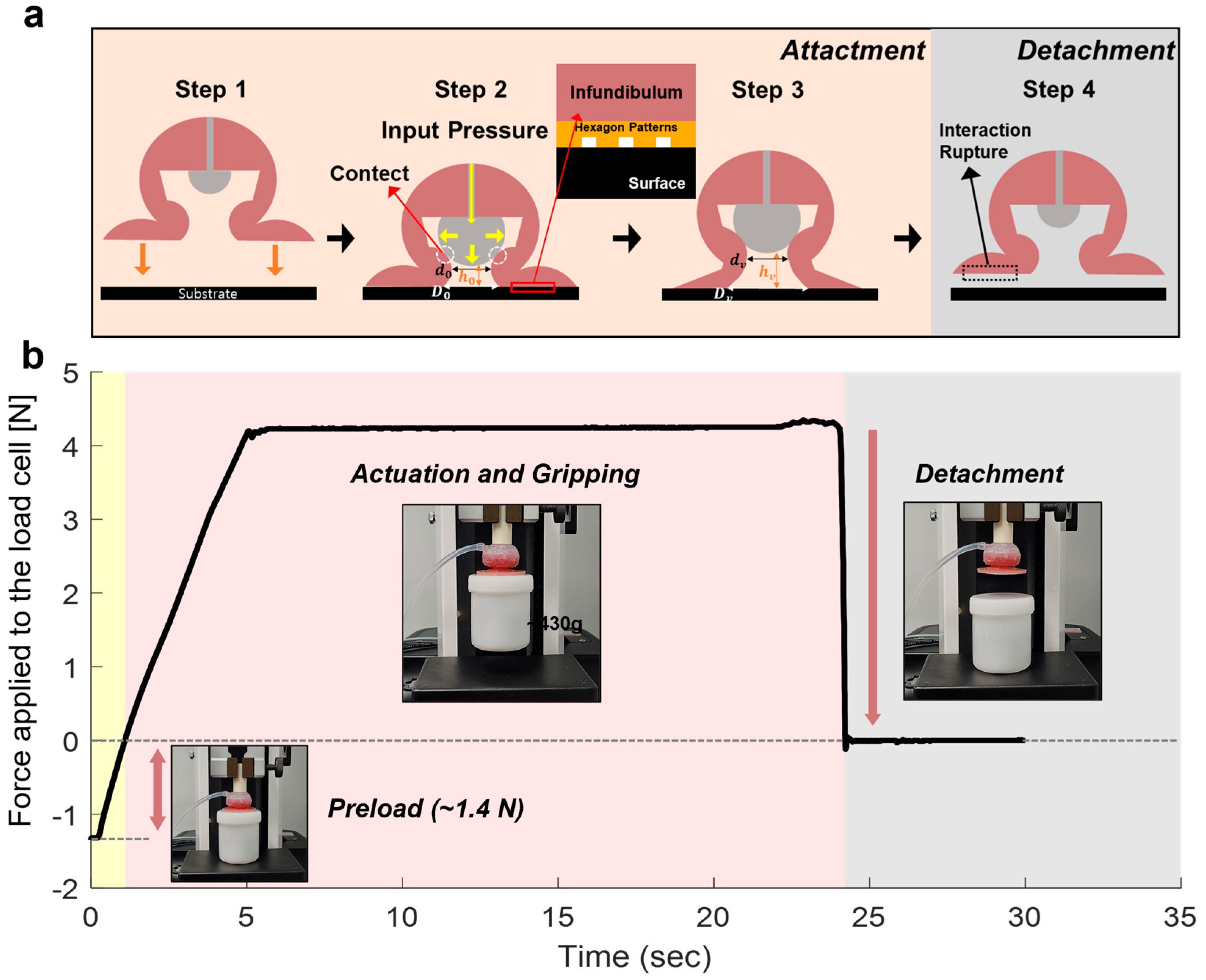 Biomimetics 10 00510 g006