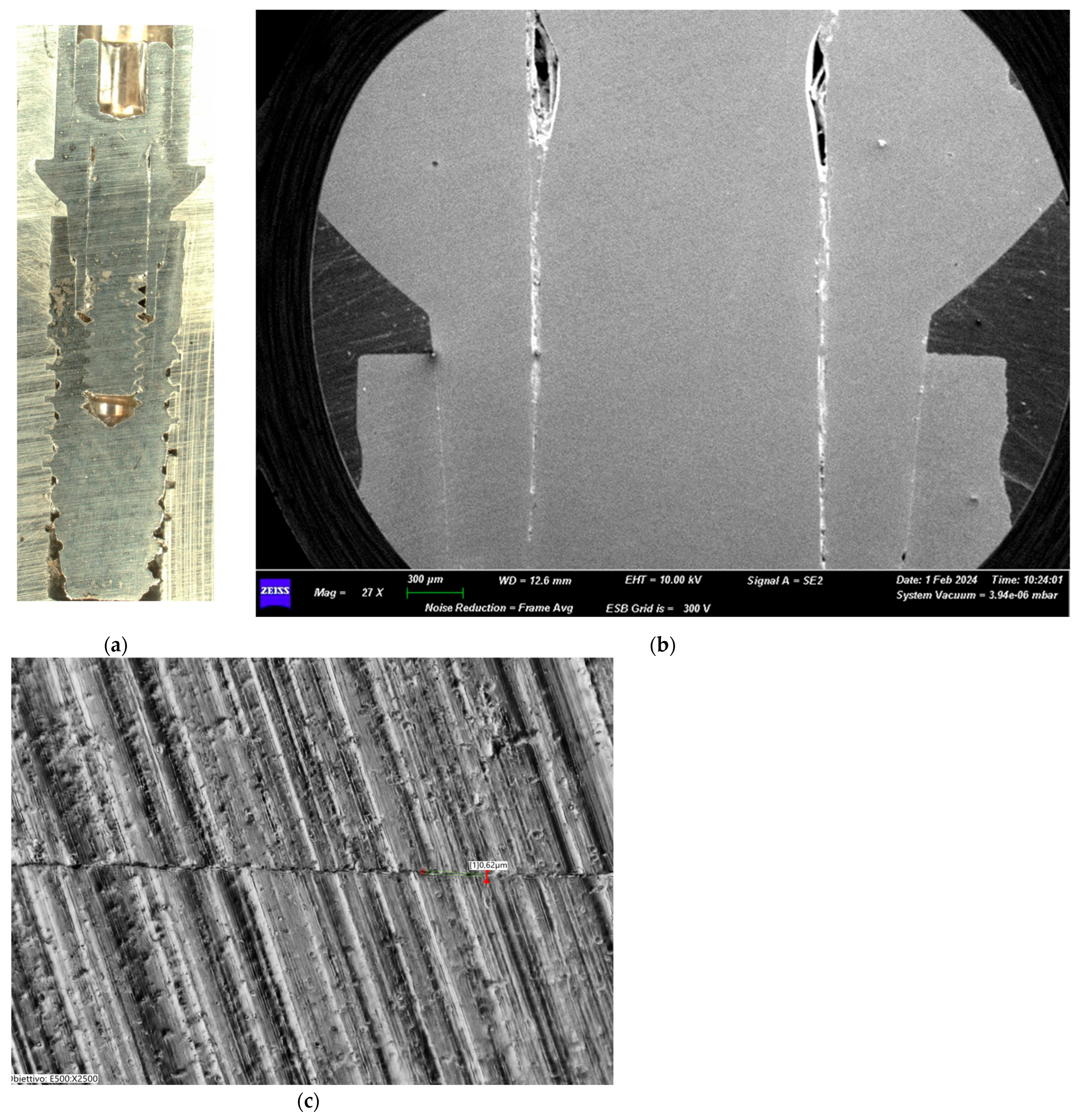 Biomimetics 10 00511 g006