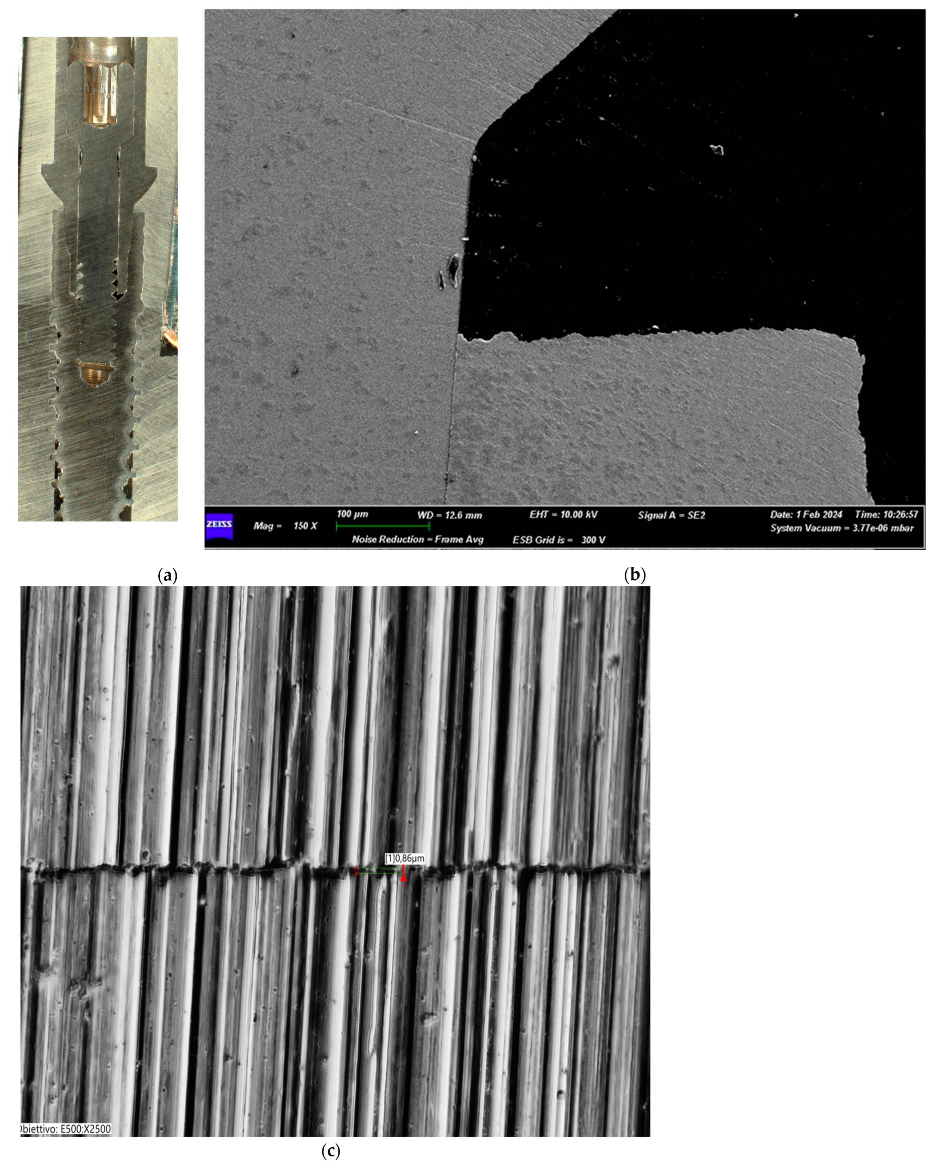 Biomimetics 10 00511 g007