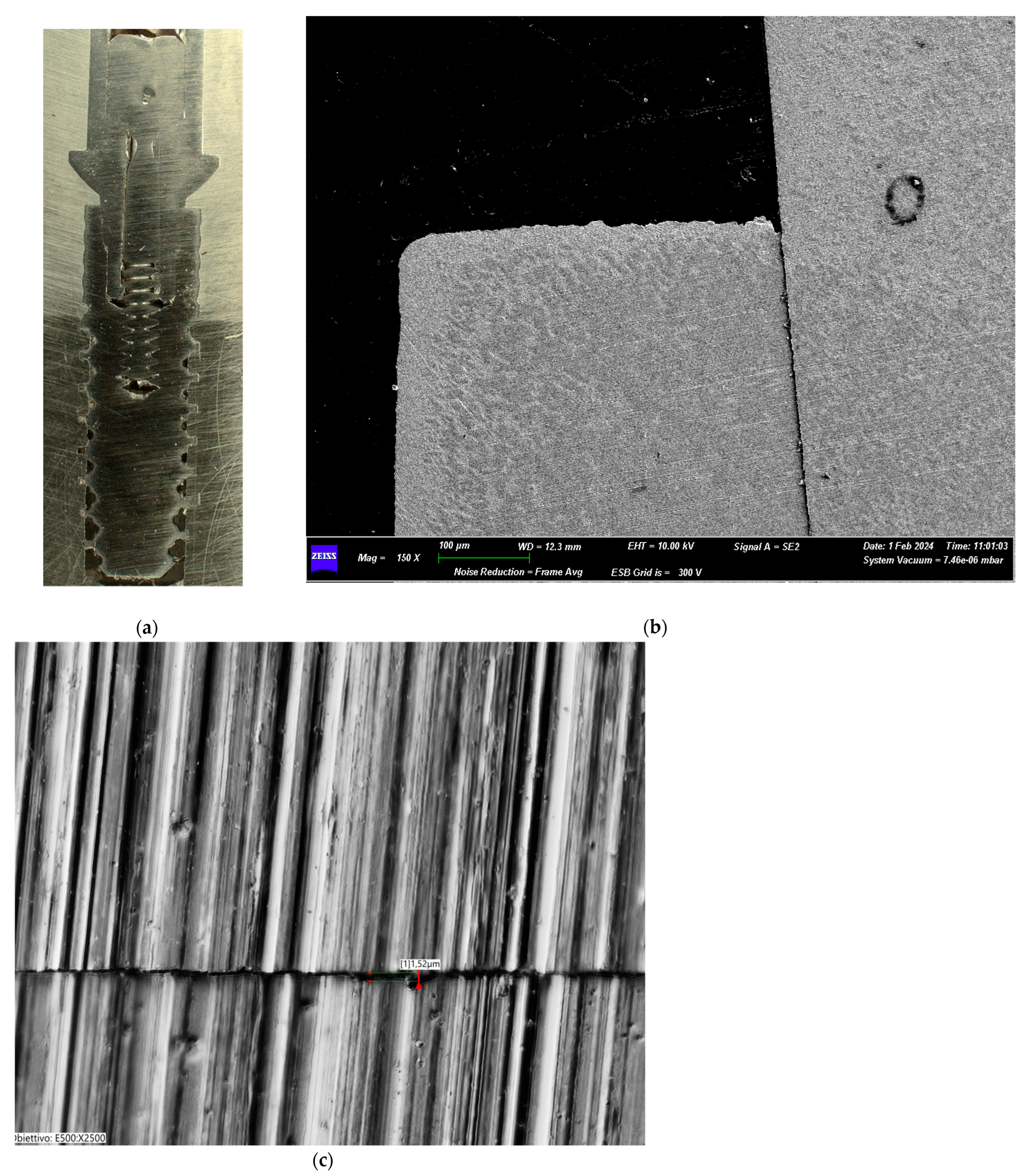 Biomimetics 10 00511 g008